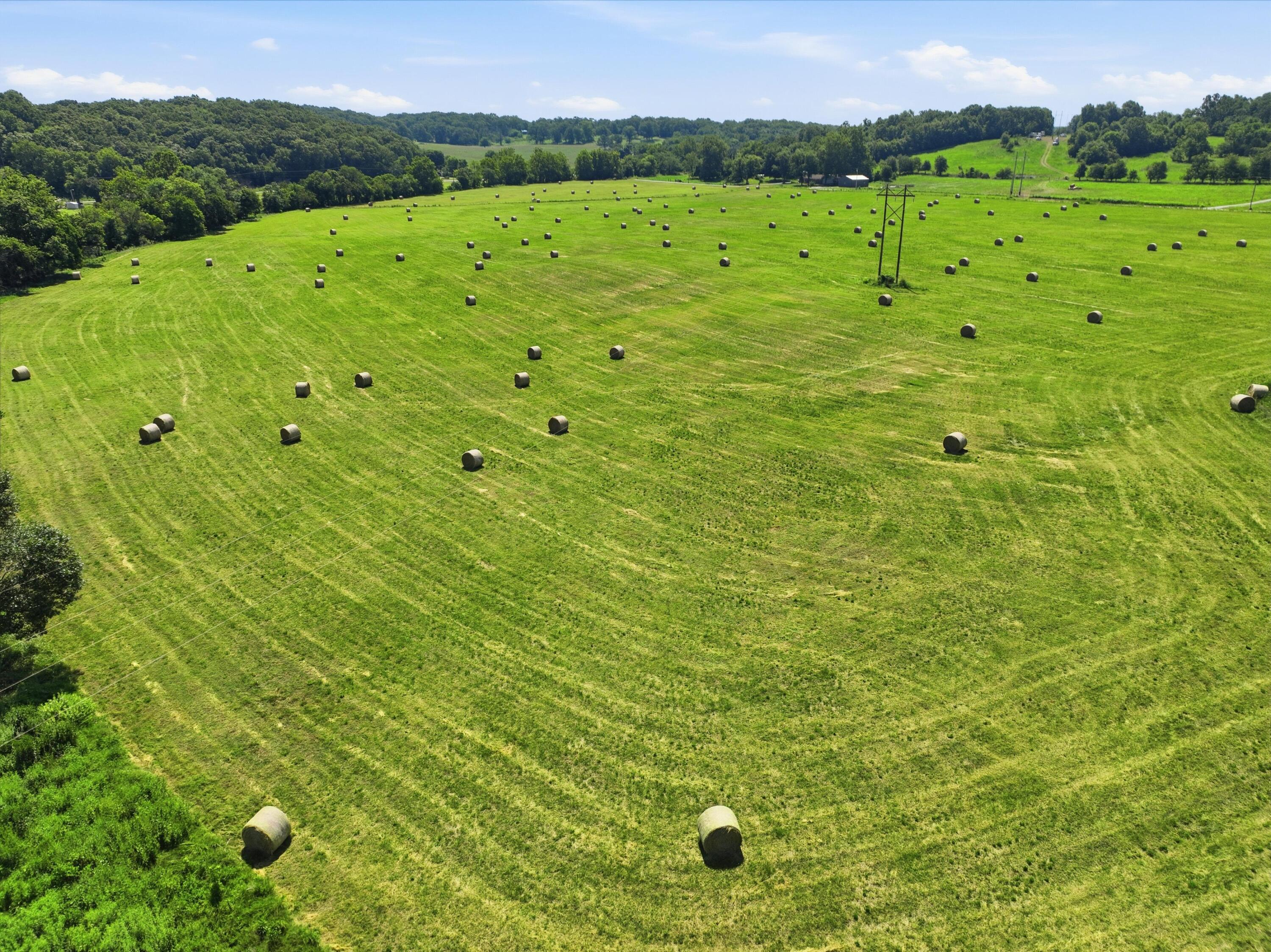 Photo 61 - Farm for sale – 924  Weibert Road  Granby, MO