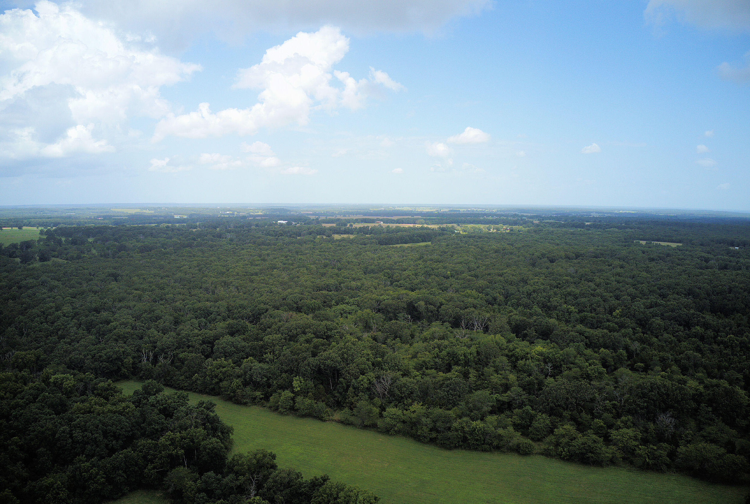 Photo 2 - Land for sale – 000  Nation School Road  Marshfield, MO