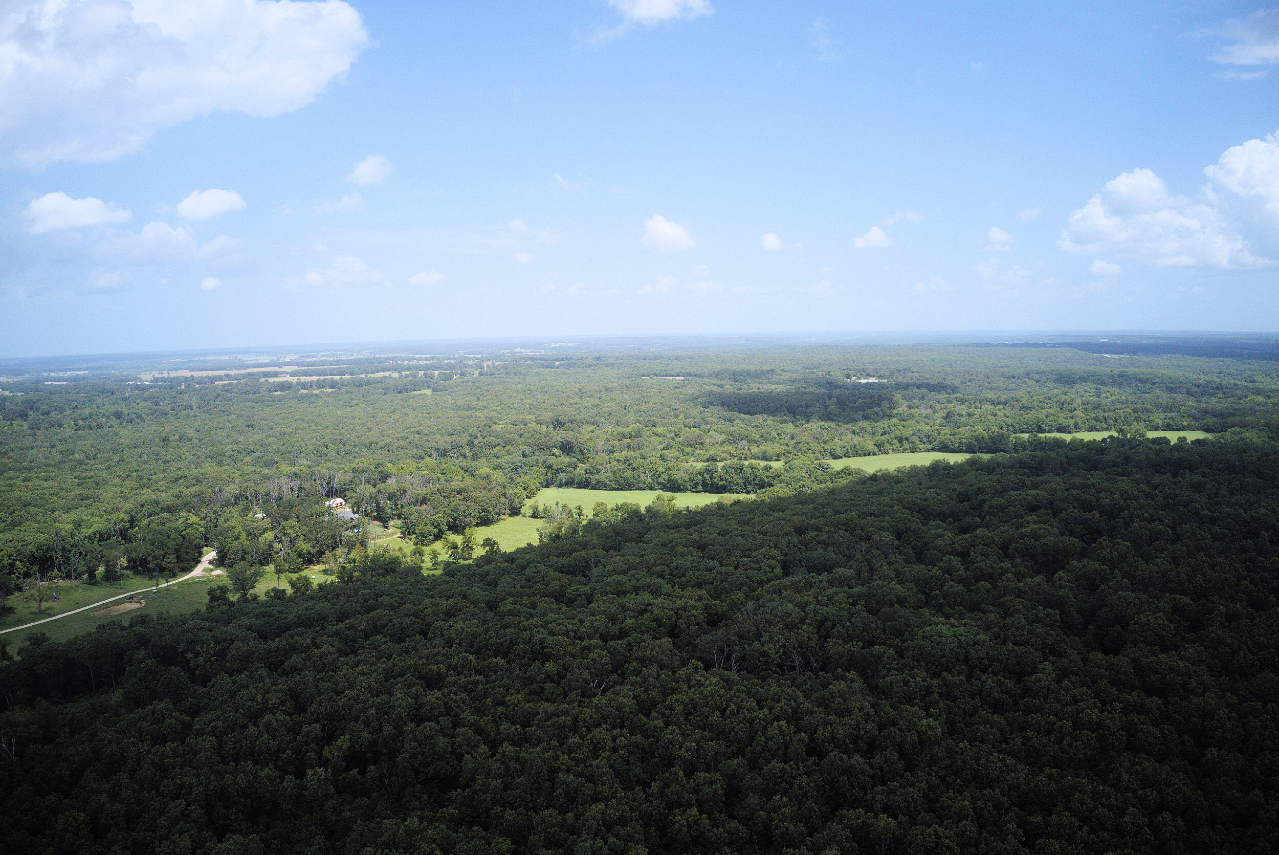 Photo 8 - Land for sale – 000  Nation School Road  Marshfield, MO