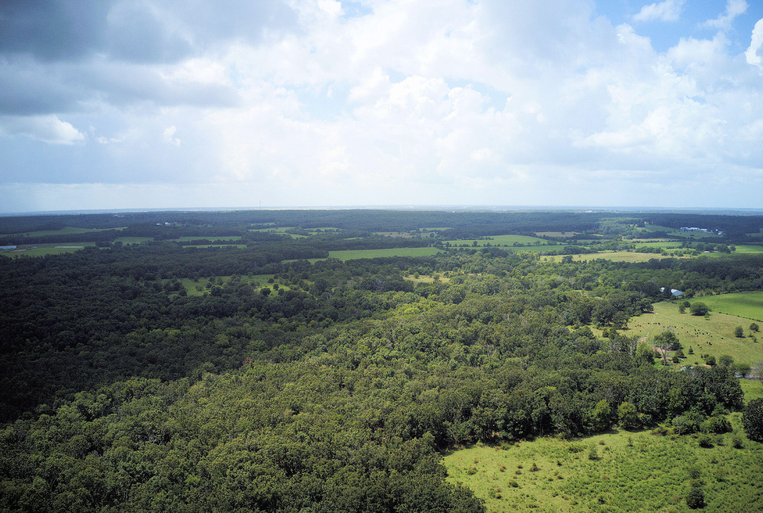 Photo 6 - Land for sale – 000  Nation School Road  Marshfield, MO