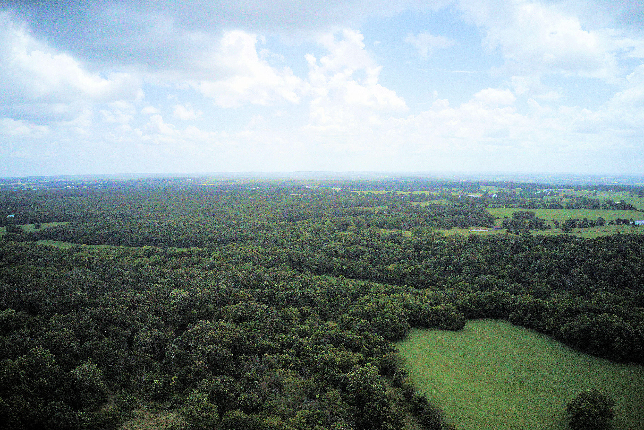Photo 5 - Land for sale – 000  Nation School Road  Marshfield, MO