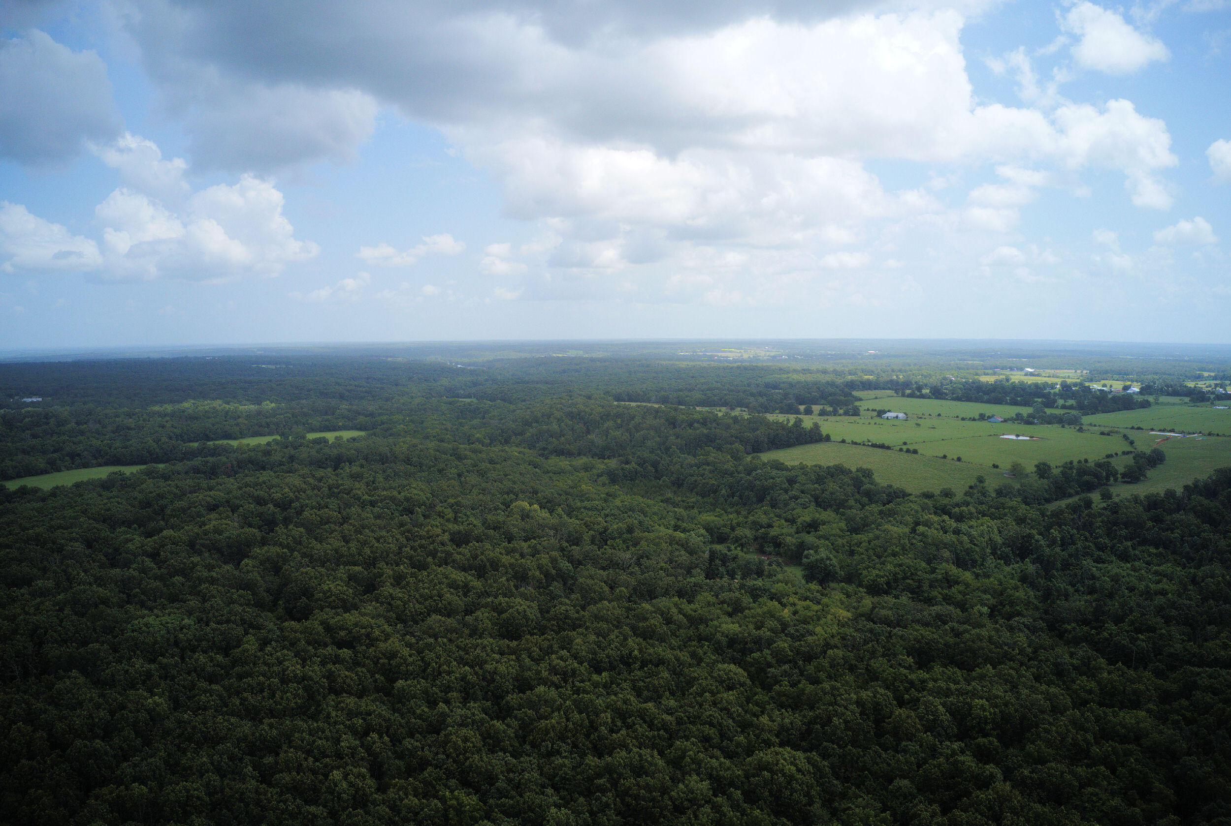 Photo 3 - Land for sale – 000  Nation School Road  Marshfield, MO