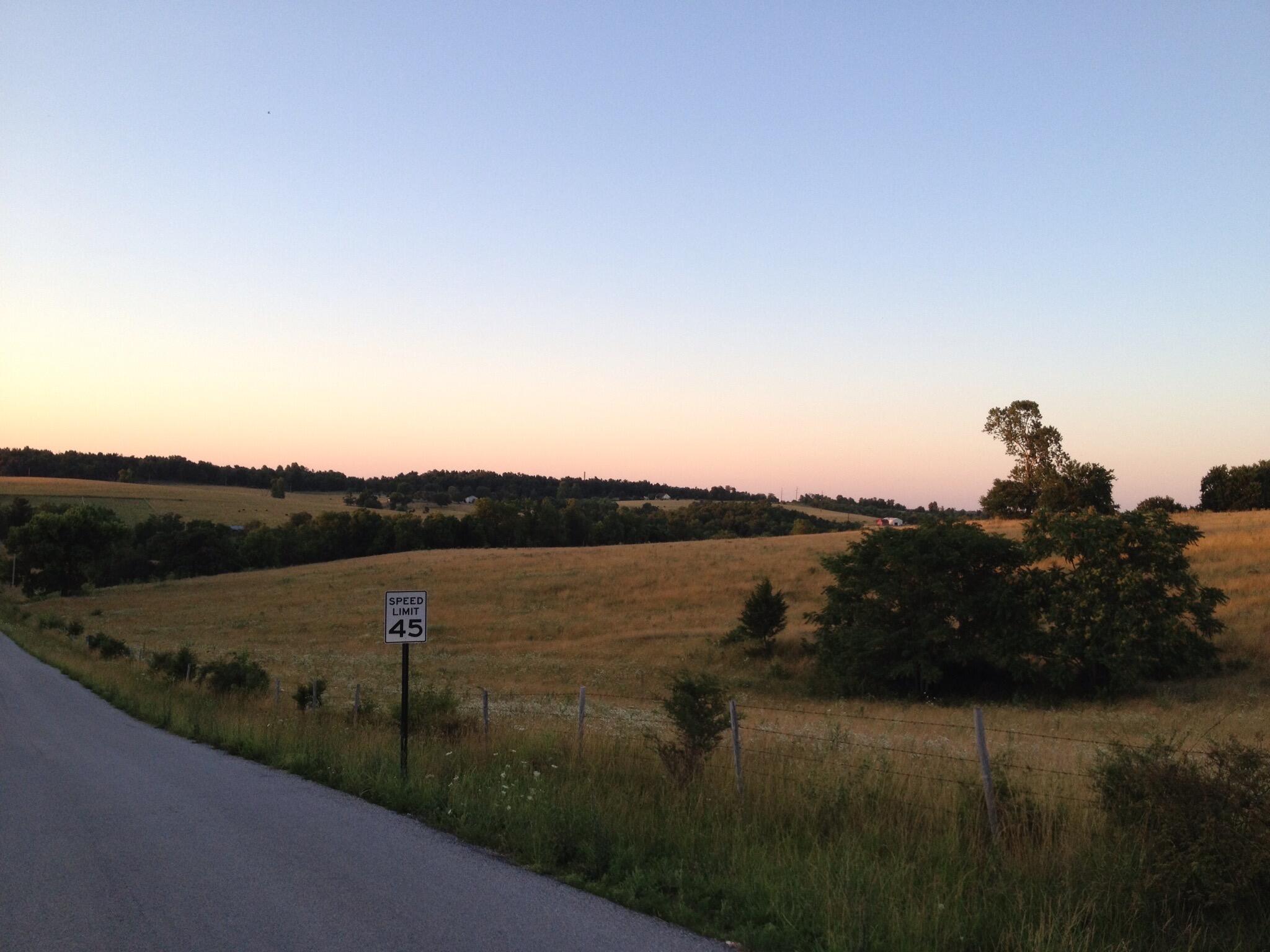 Photo 3 - Land for sale – 6603 W Farm Road 194   Republic, MO