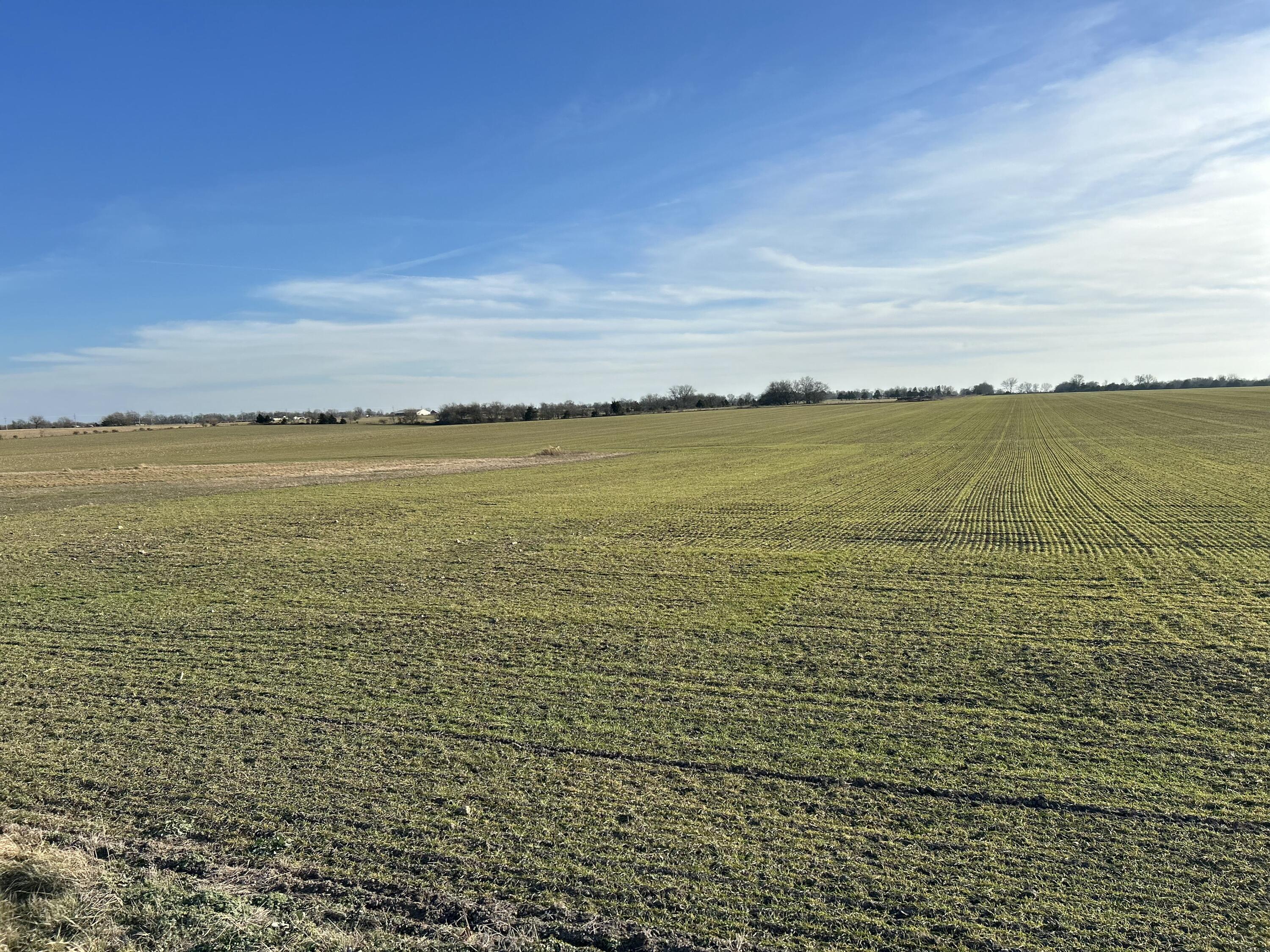 Photo 2 - Land for sale – 000  Cherry Road  Diamond, MO