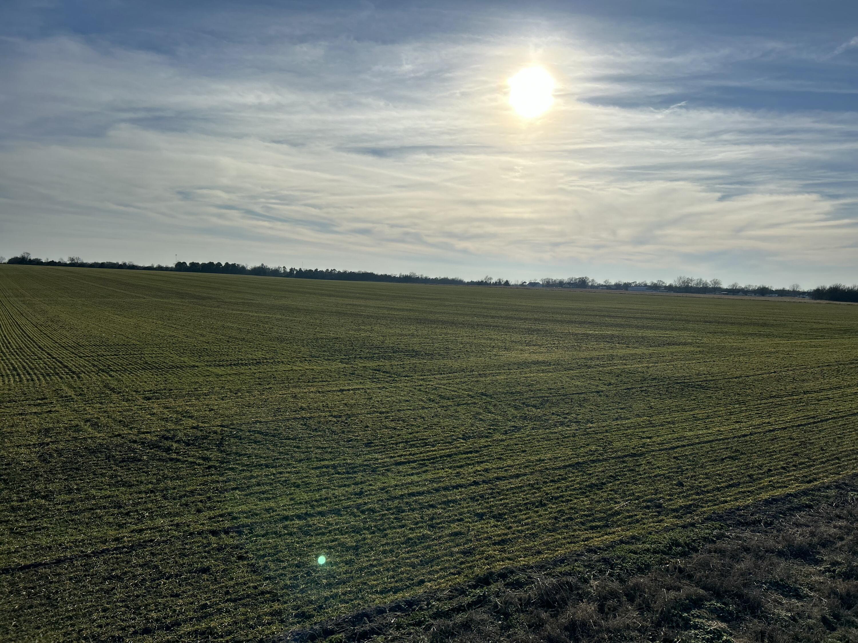 Photo 3 - Land for sale – 000  Cherry Road  Diamond, MO