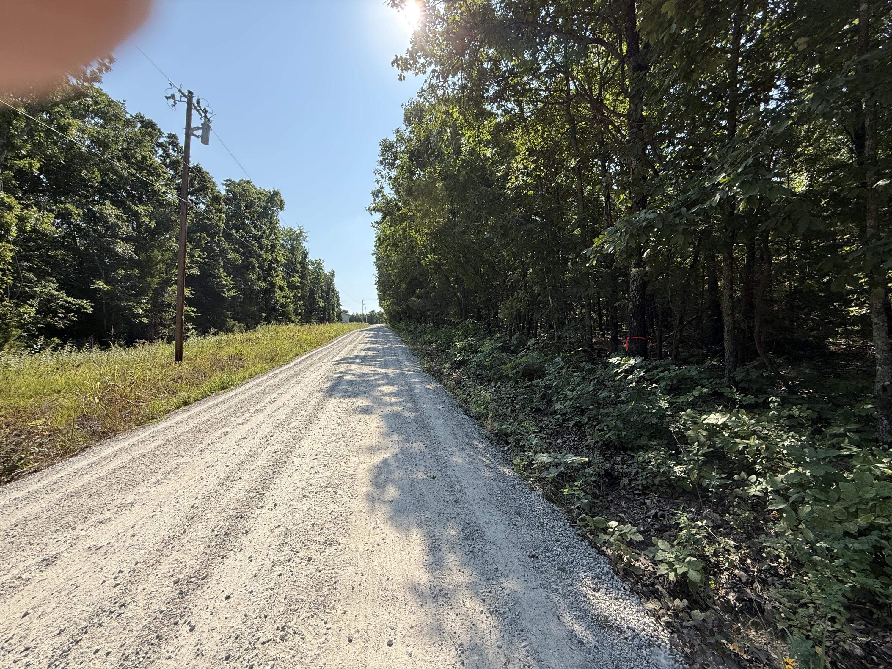 Photo 11 - Land for sale – 16+- Acres  Spring Valley Road  Shell Knob, MO
