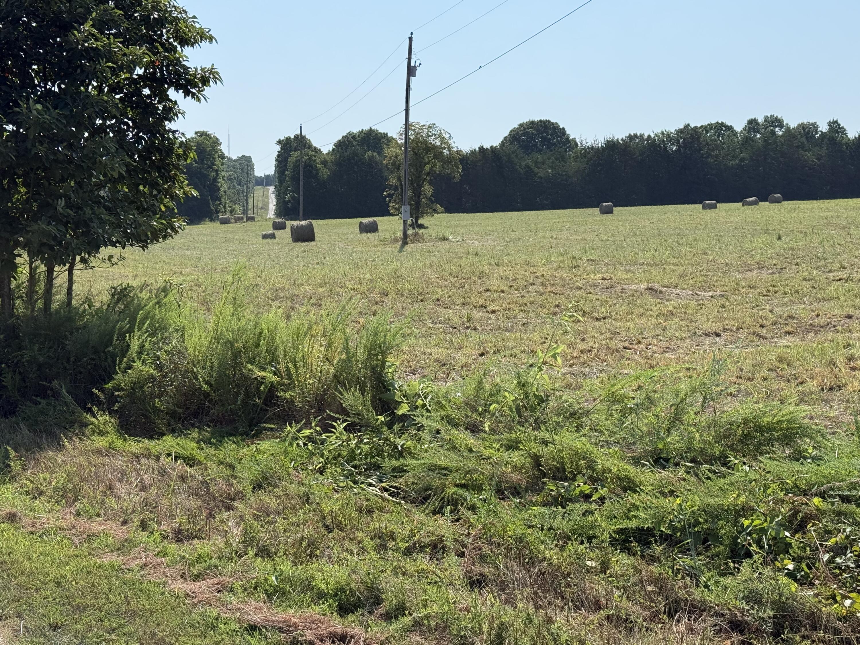 Photo 8 - Land for sale – 16+- Acres  Spring Valley Road  Shell Knob, MO