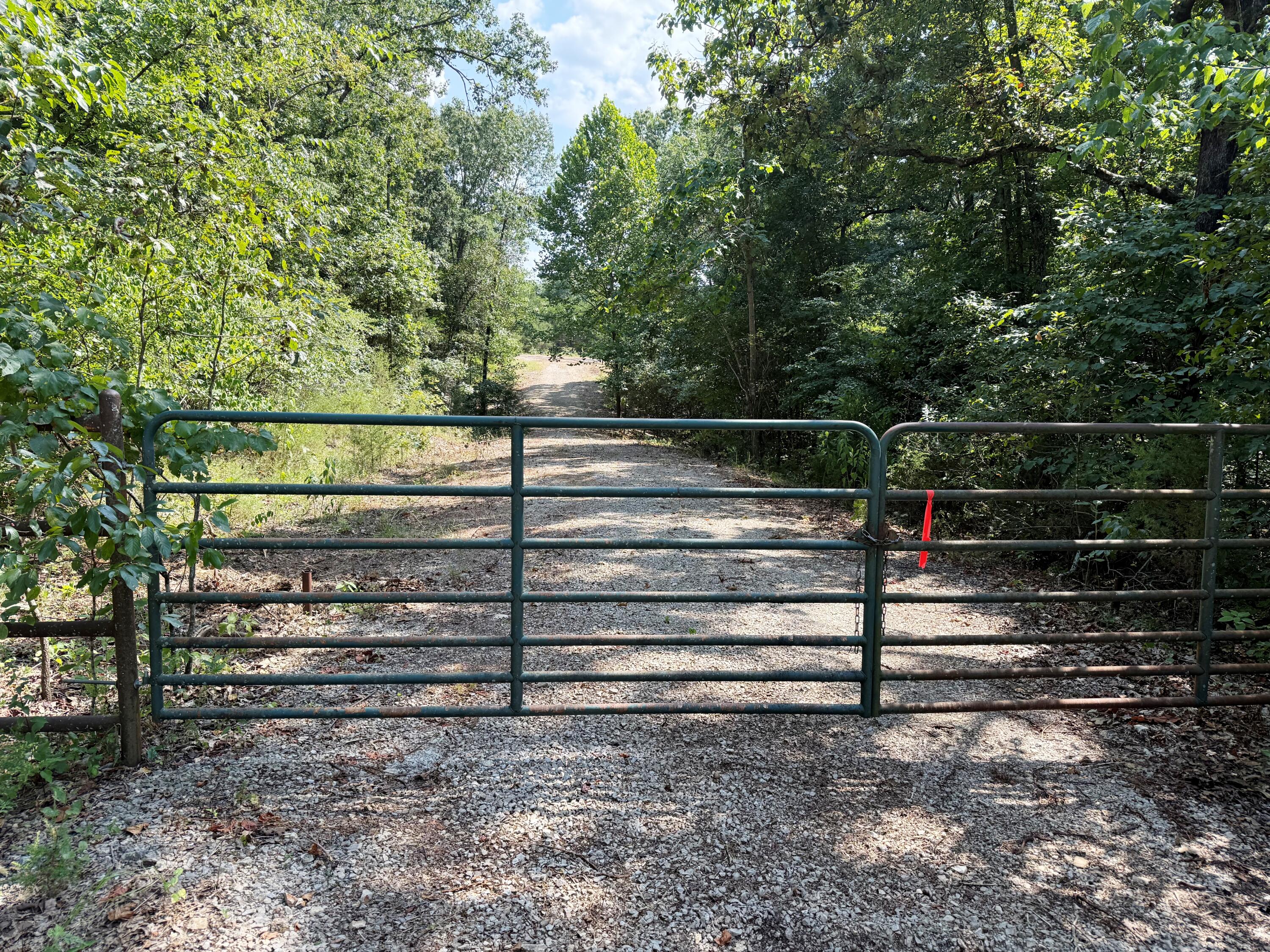 Photo 13 - Land for sale – 16+- Acres  Spring Valley Road  Shell Knob, MO