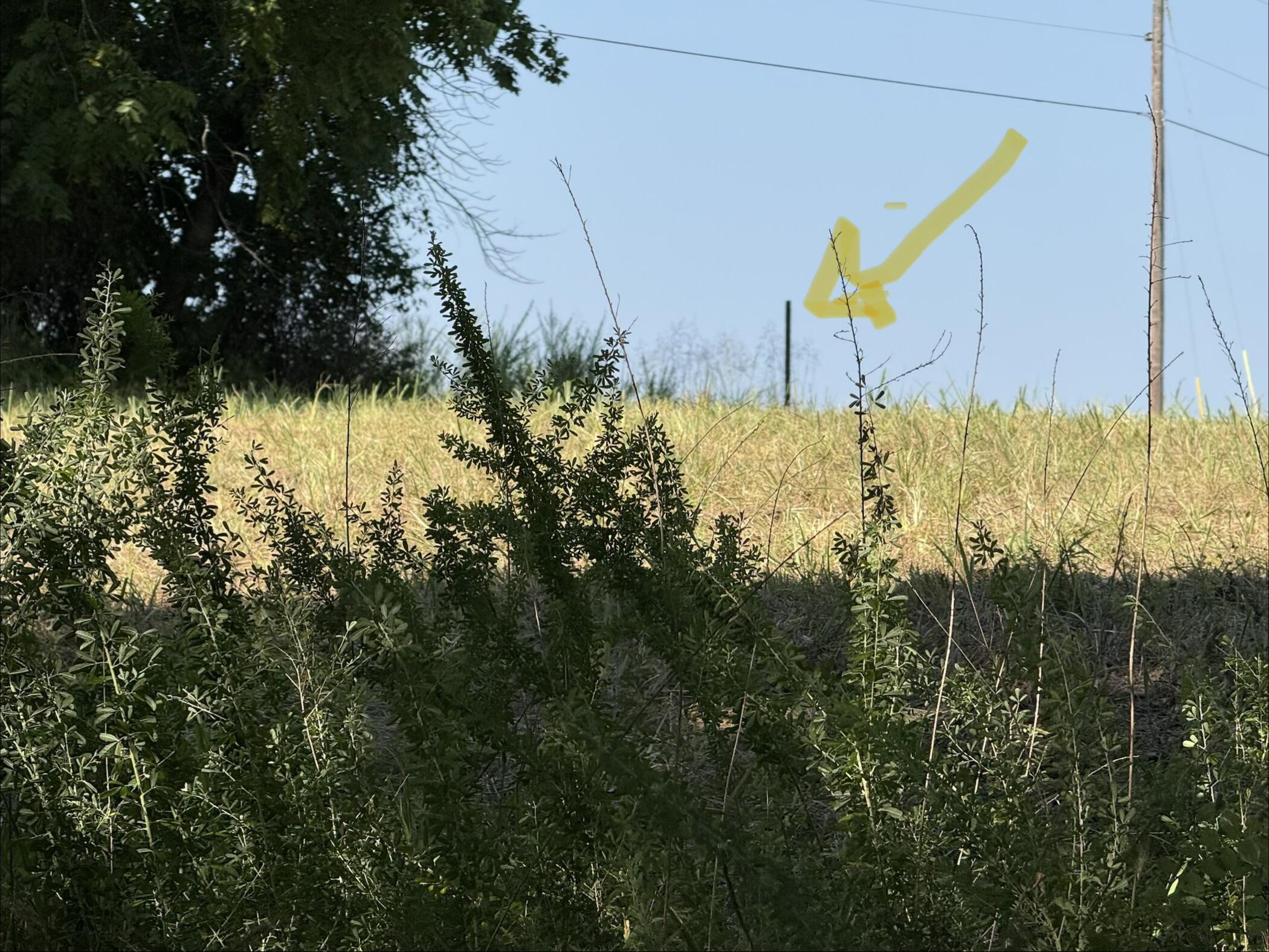 Photo 7 - Land for sale – 16+- Acres  Spring Valley Road  Shell Knob, MO
