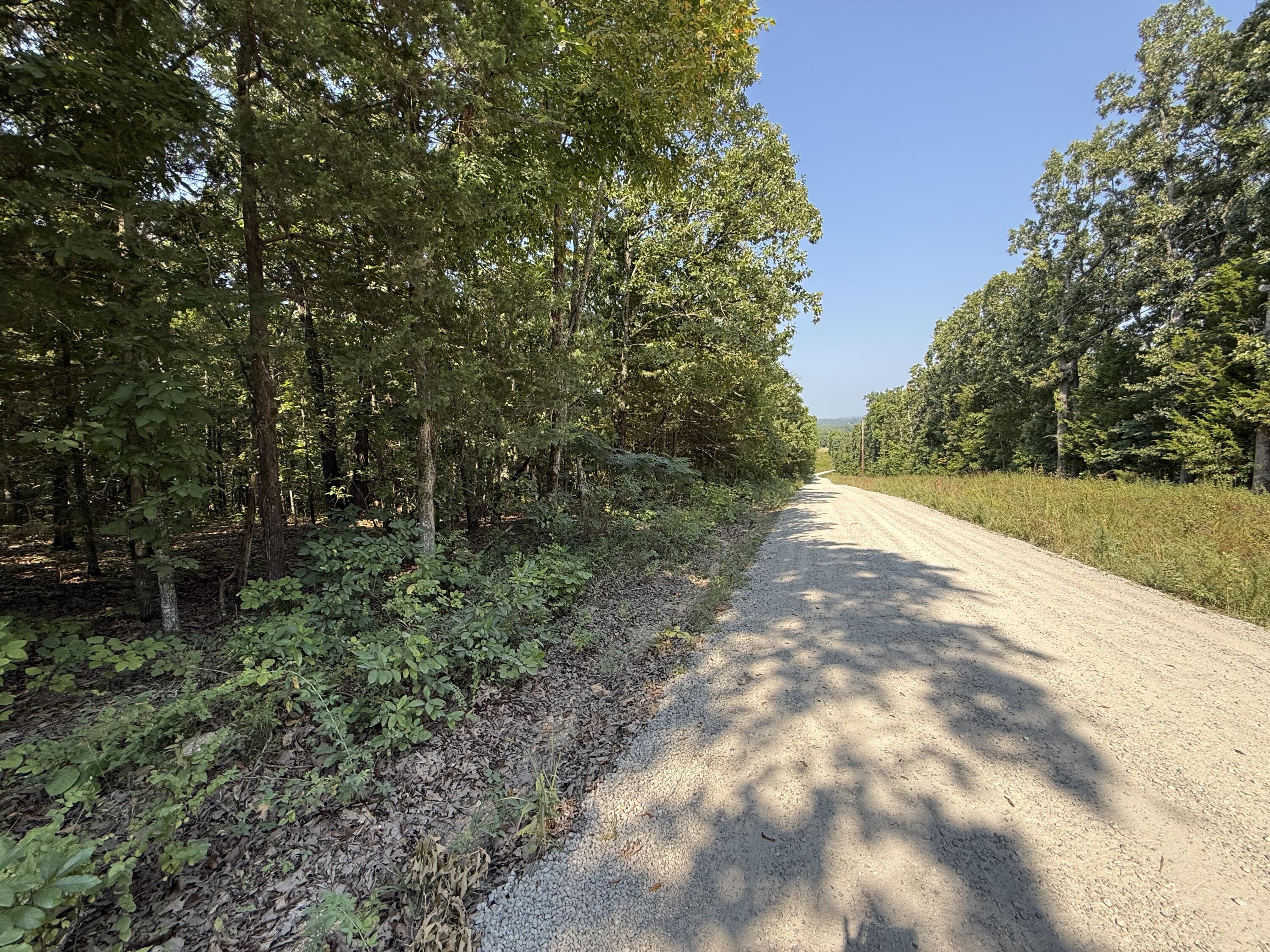 Photo 12 - Land for sale – 16+- Acres  Spring Valley Road  Shell Knob, MO