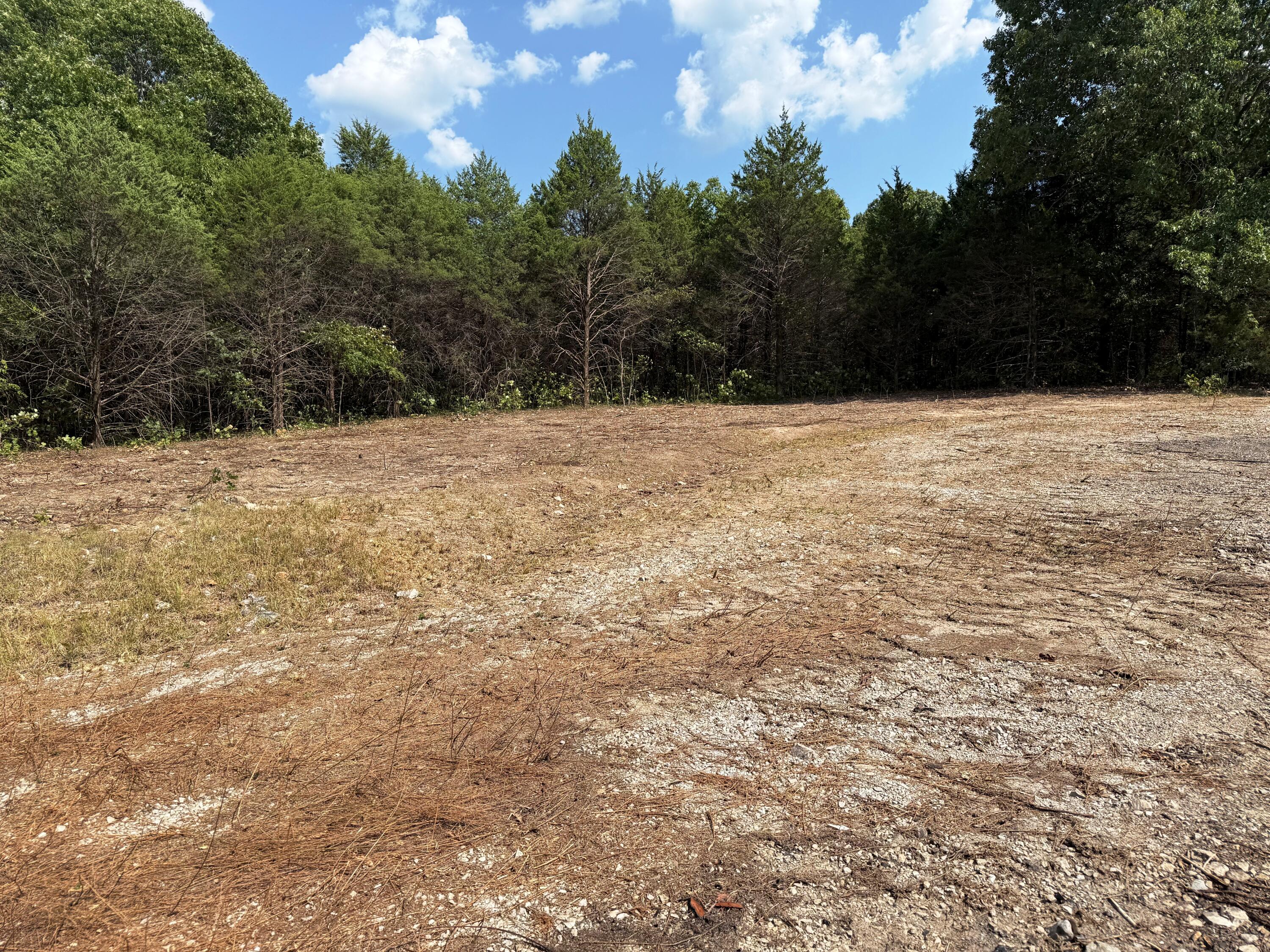 Photo 6 - Land for sale – 16 +- Ac  Spring Valley Road  Shell Knob, MO