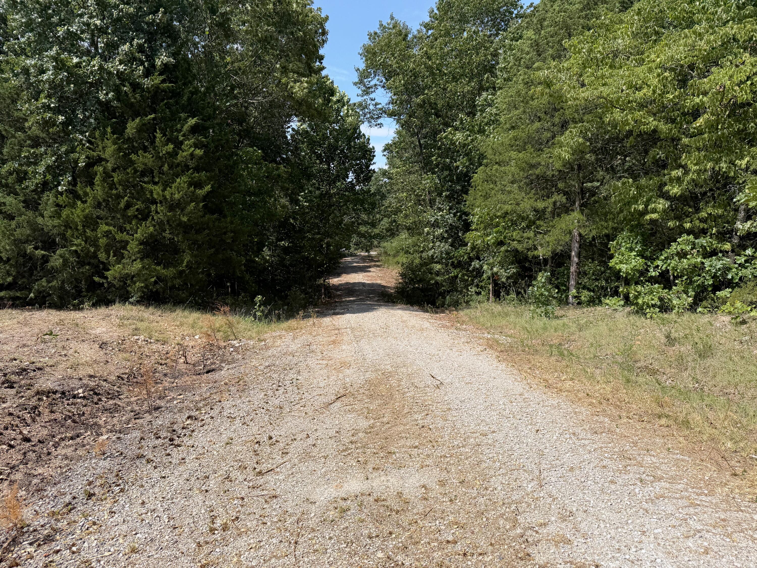 Photo 16 - Land for sale – 16 +- Ac  Spring Valley Road  Shell Knob, MO