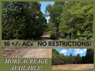 Land for sale – 16 +- Ac  Spring Valley Road  Shell Knob, MO