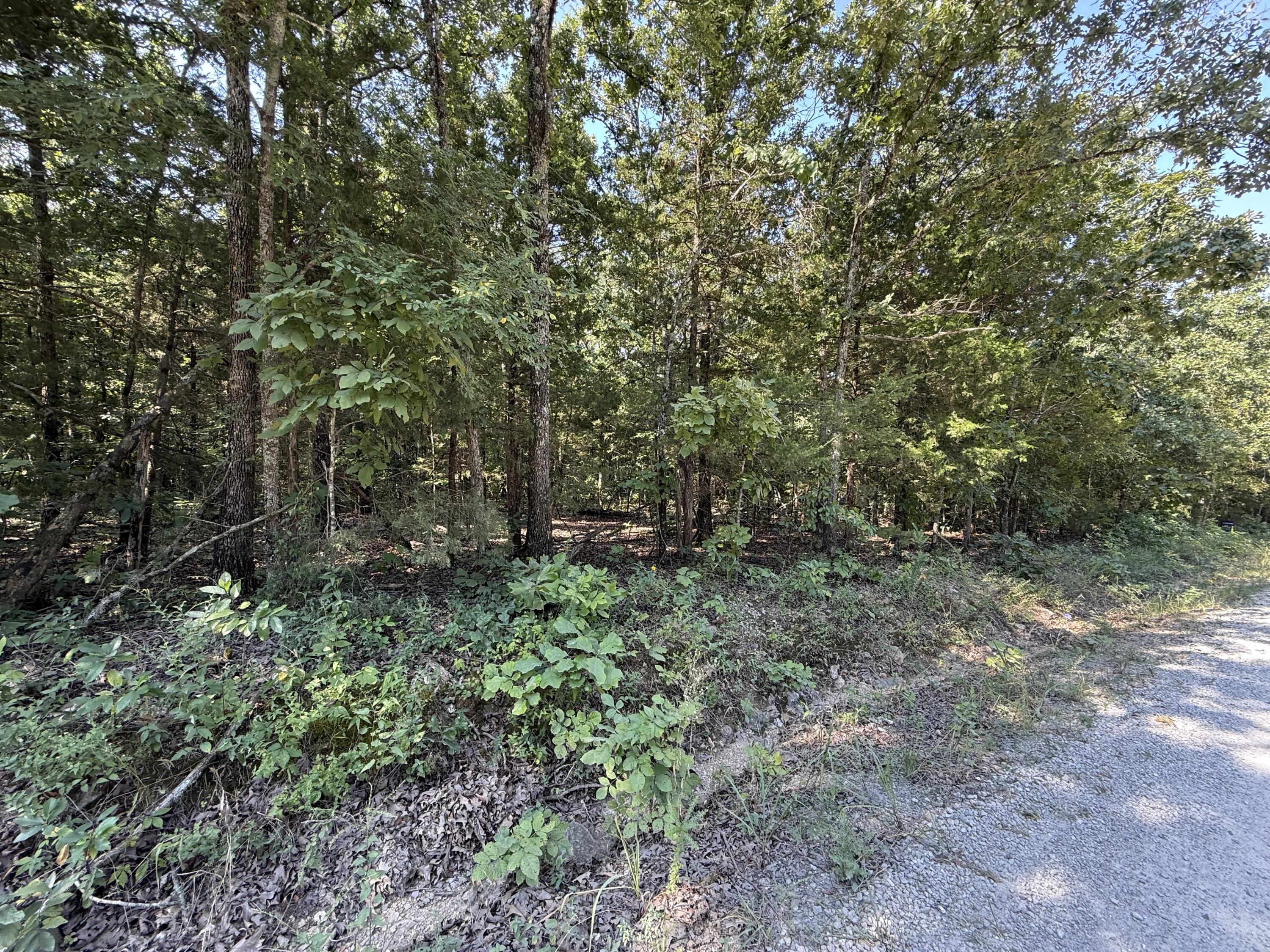 Photo 5 - Land for sale – 16 +- Ac  Spring Valley Road  Shell Knob, MO