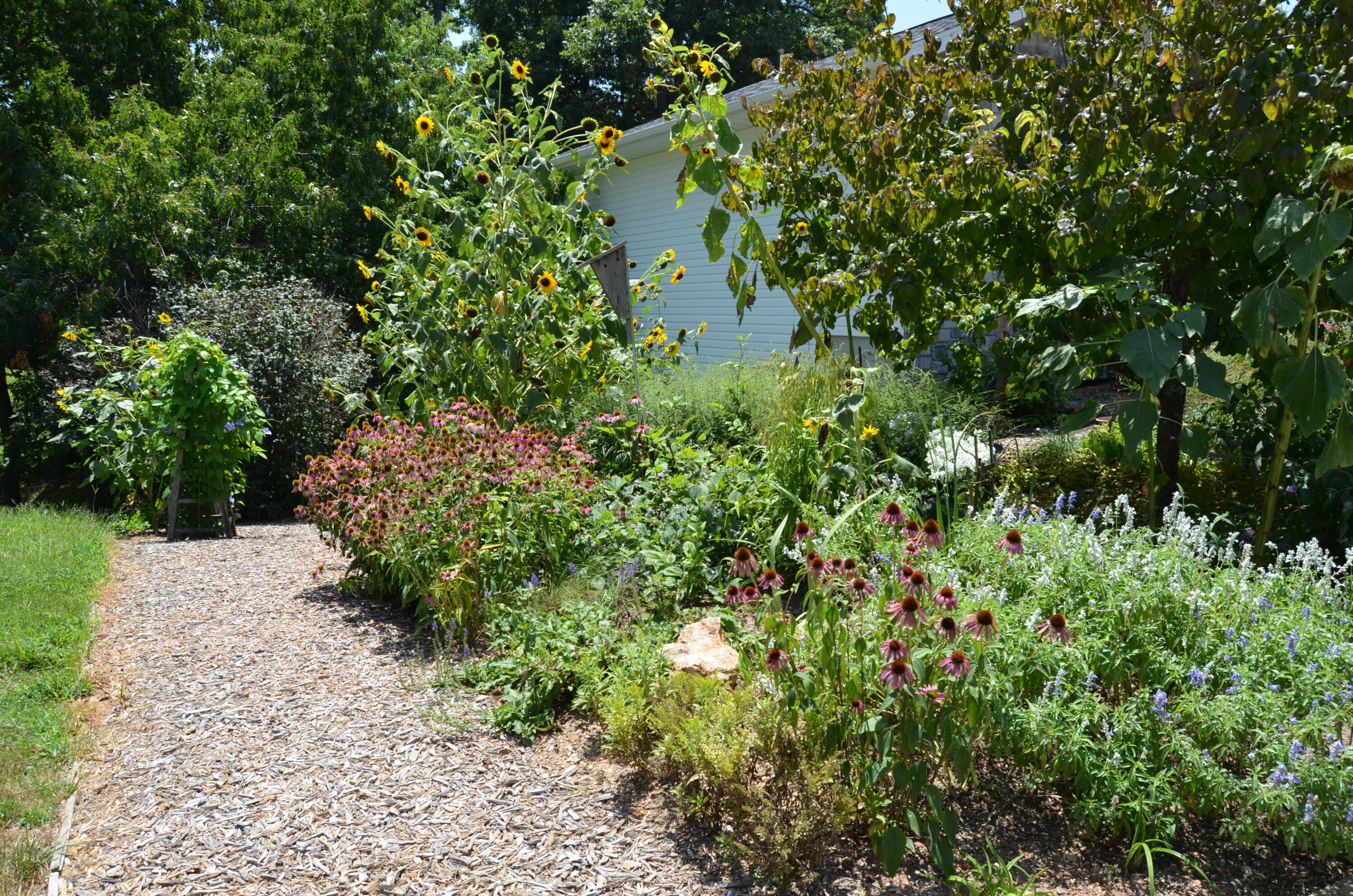 Photo 35 - Residential for sale – 160  Micahs Xing   Reeds Spring, MO