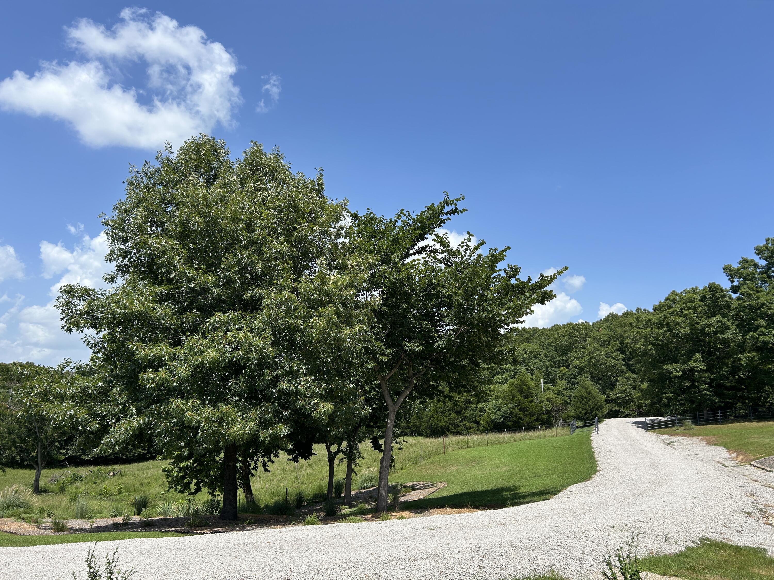 Photo 48 - Residential for sale – 5398  County Road S5-307   Ava, MO