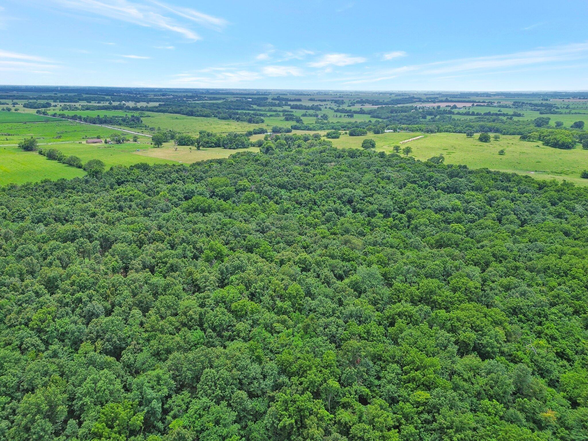 Photo 4 - Land for sale – 391 N Dade 85   Lockwood, MO