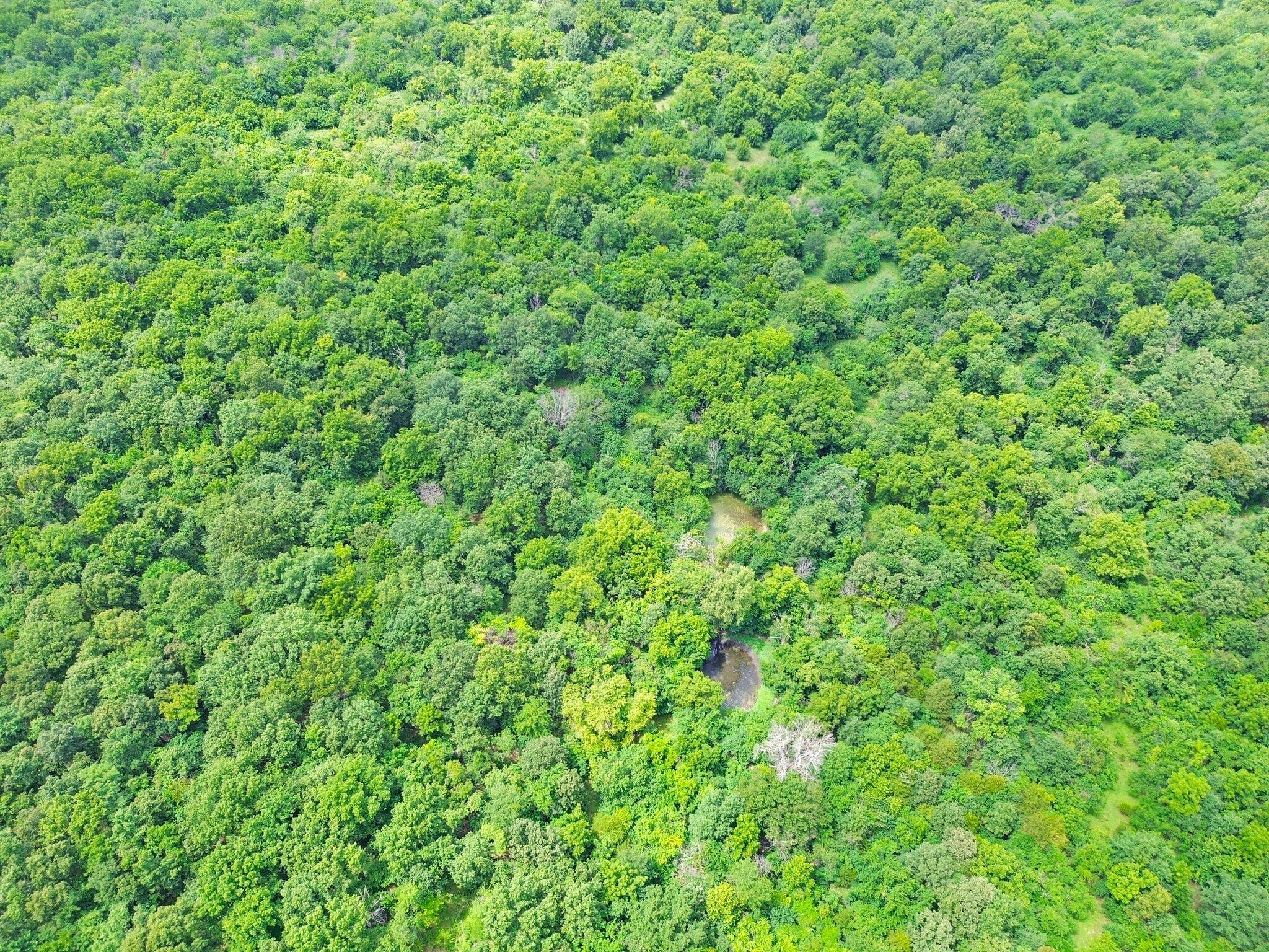 Photo 6 - Land for sale – 391 N Dade 85   Lockwood, MO