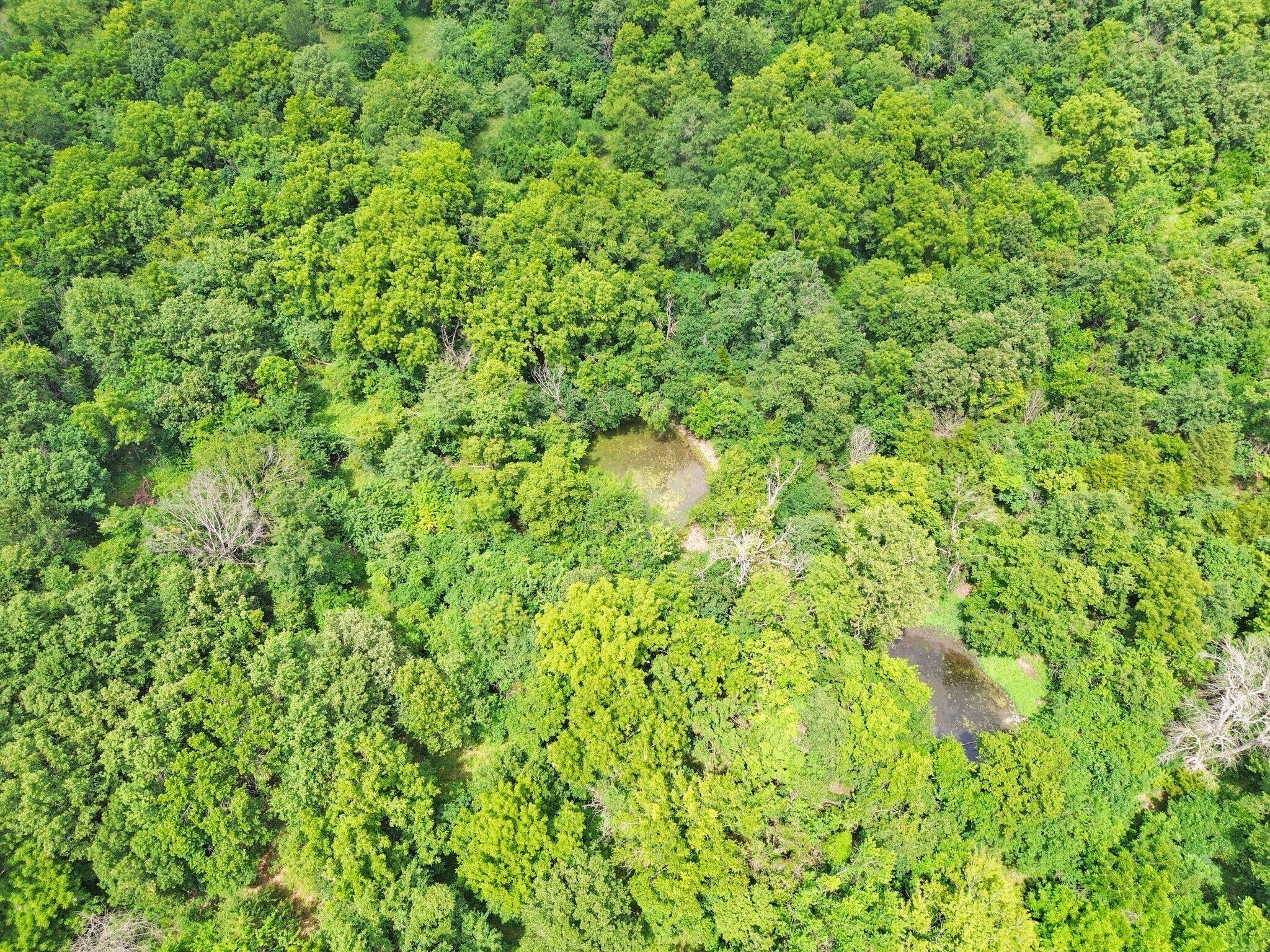 Photo 9 - Land for sale – 391 N Dade 85   Lockwood, MO