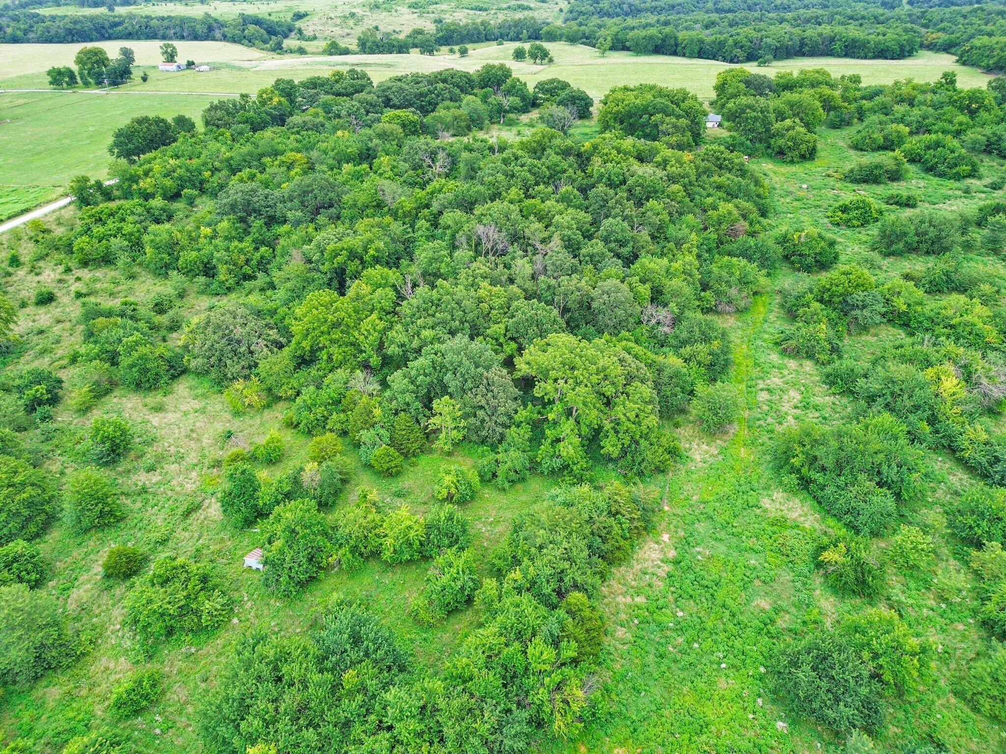 Photo 10 - Land for sale – 391 N Dade 85   Lockwood, MO