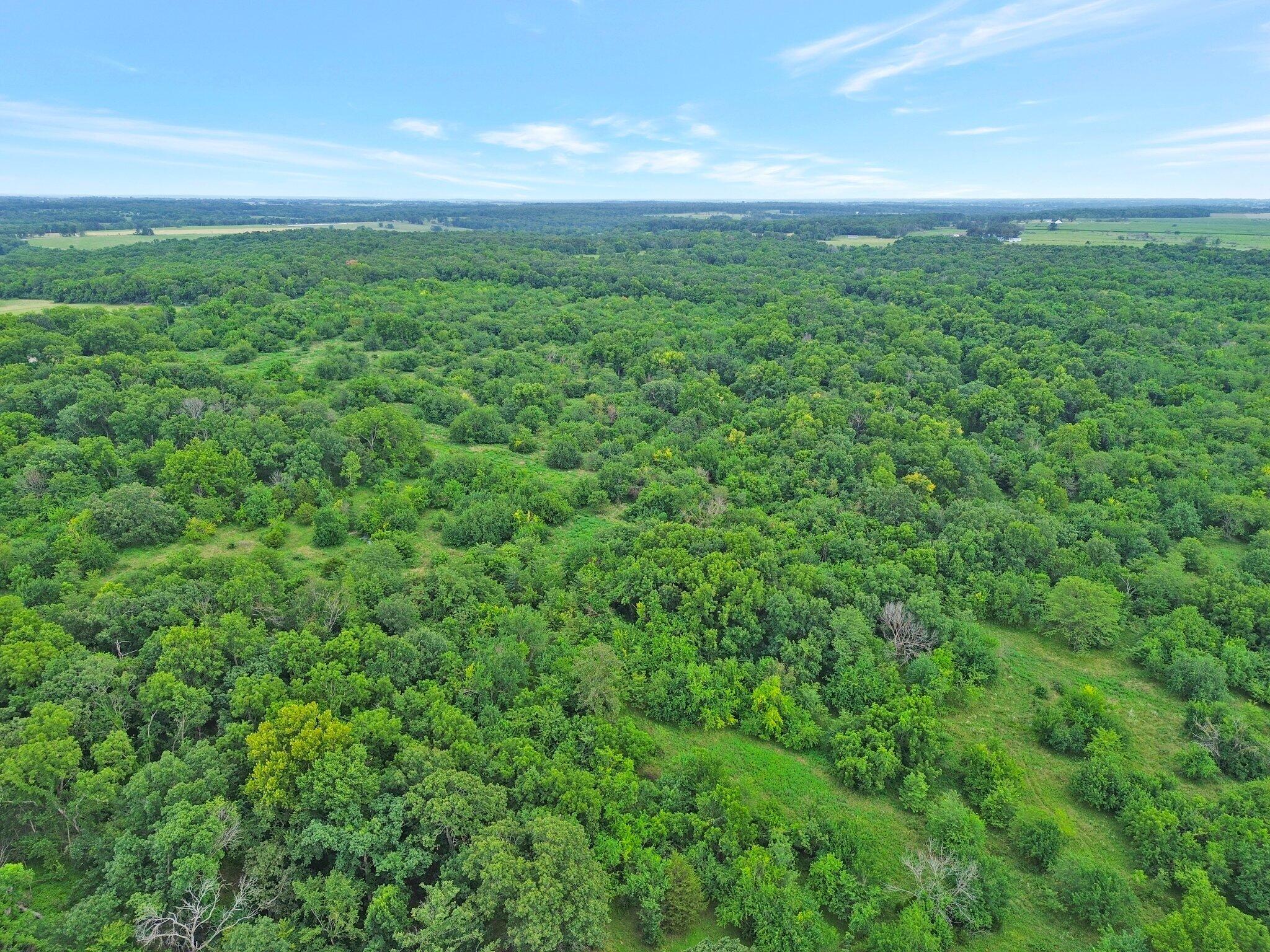 Photo 11 - Land for sale – 391 N Dade 85   Lockwood, MO