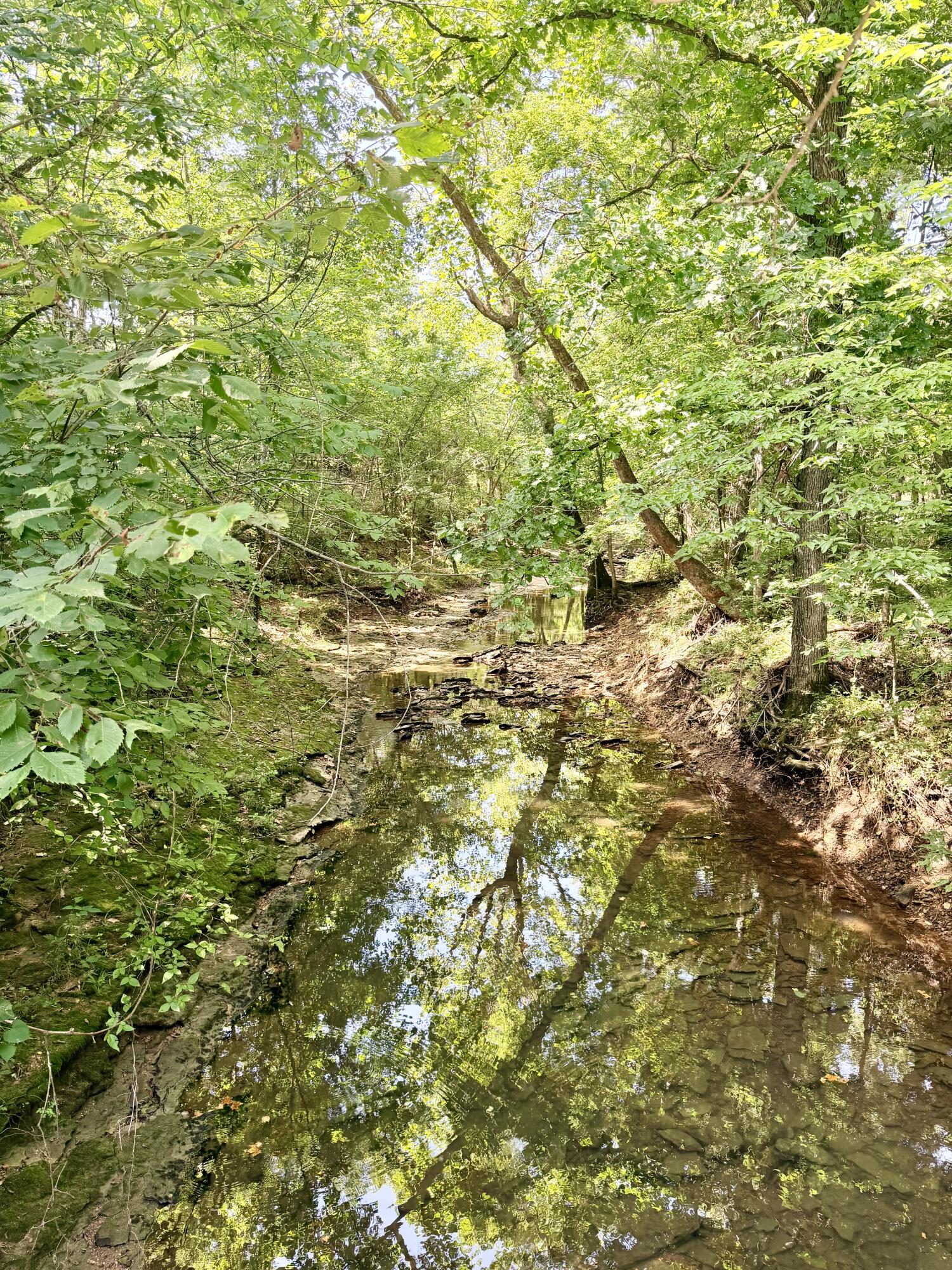 Photo 14 - Land for sale – 391 N Dade 85   Lockwood, MO
