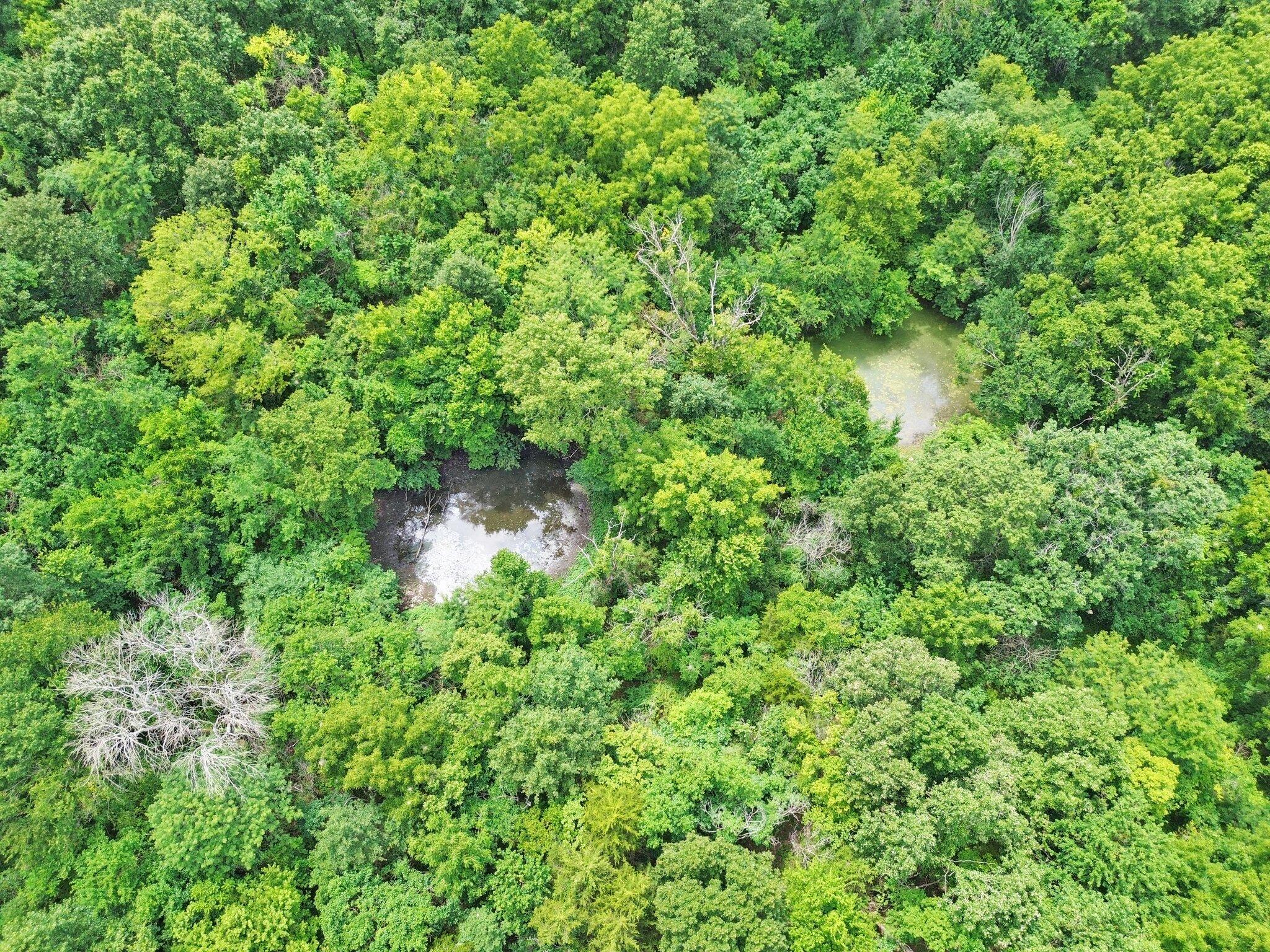 Land for sale – 391 N Dade 85   Lockwood, MO