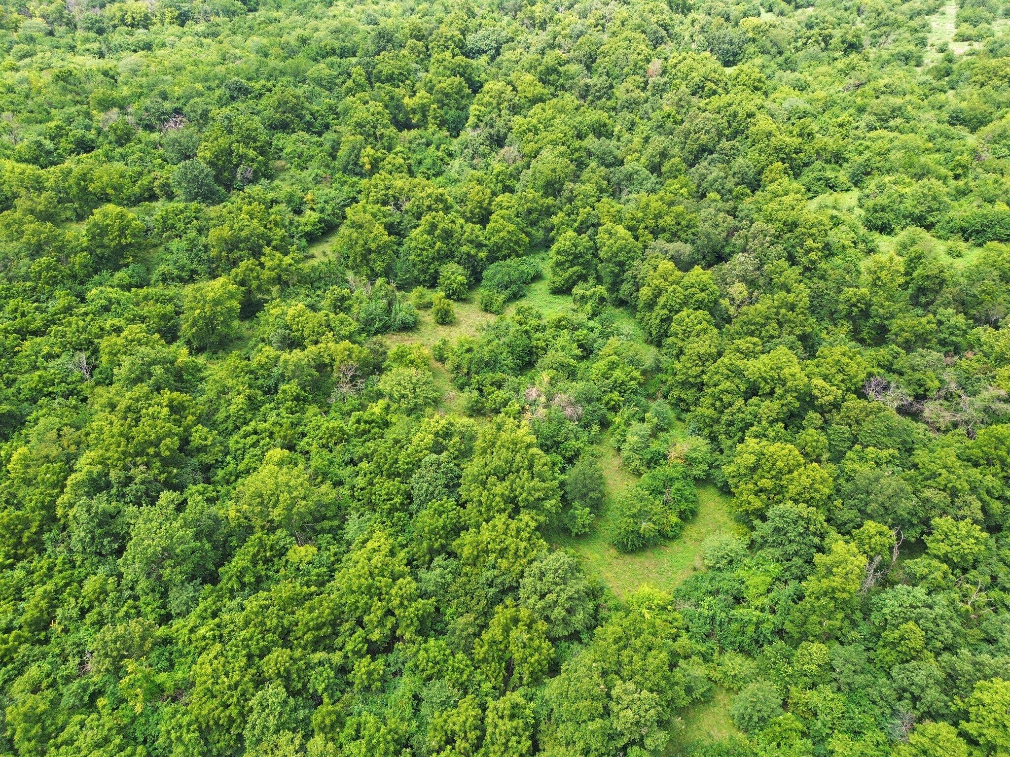 Photo 5 - Land for sale – 391 N Dade 85   Lockwood, MO