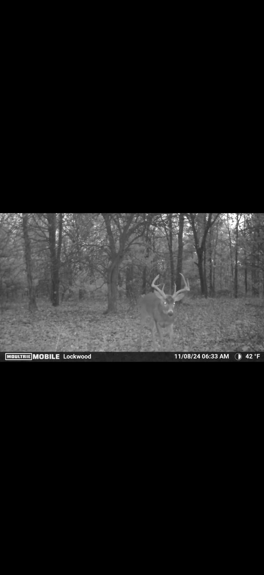 Photo 29 - Land for sale – 391 N Dade 85   Lockwood, MO
