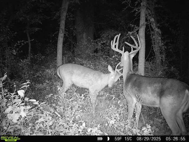 Photo 26 - Land for sale – 391 N Dade 85   Lockwood, MO