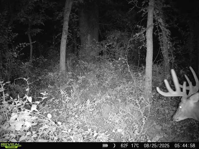 Photo 27 - Land for sale – 391 N Dade 85   Lockwood, MO