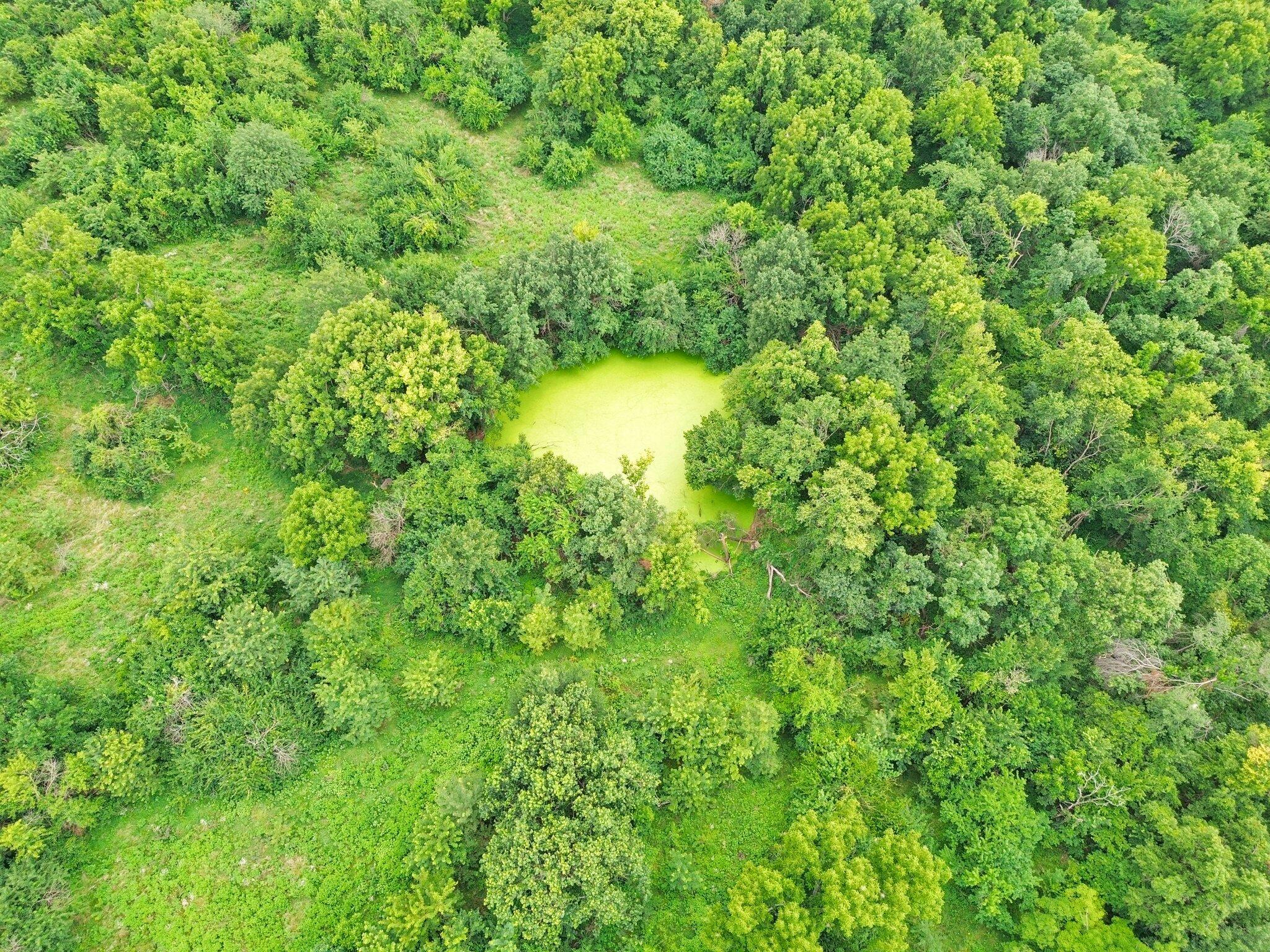 Photo 3 - Land for sale – 391 N Dade 85   Lockwood, MO