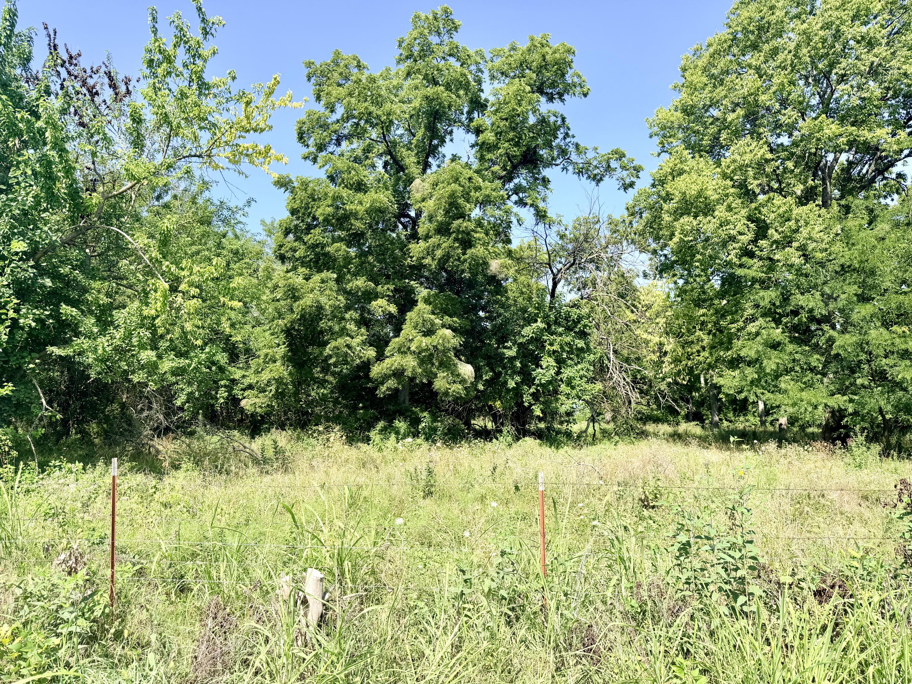 Photo 17 - Land for sale – 391 N Dade 85   Lockwood, MO