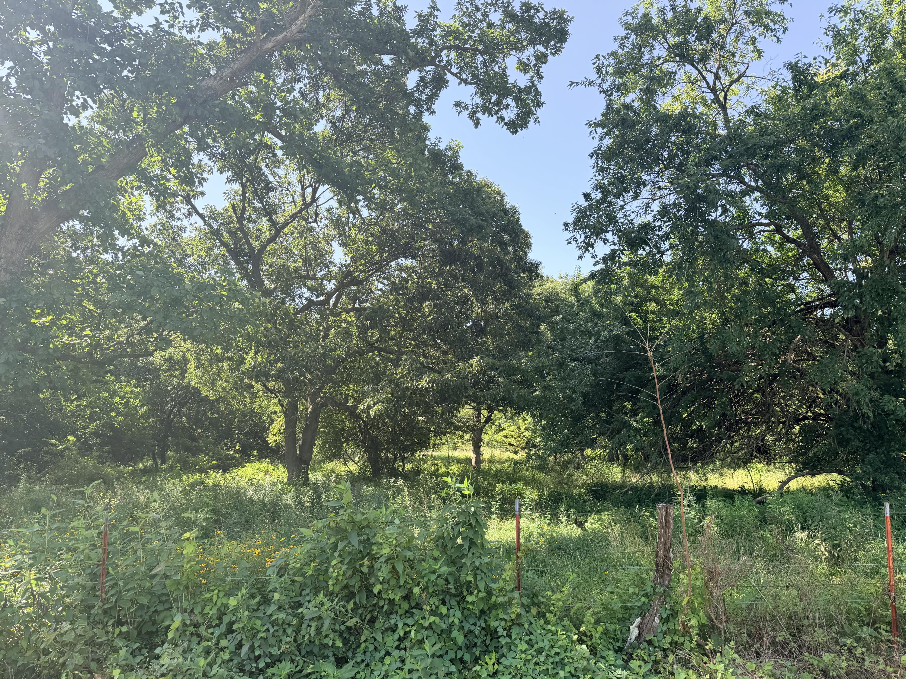 Photo 16 - Land for sale – 391 N Dade 85   Lockwood, MO