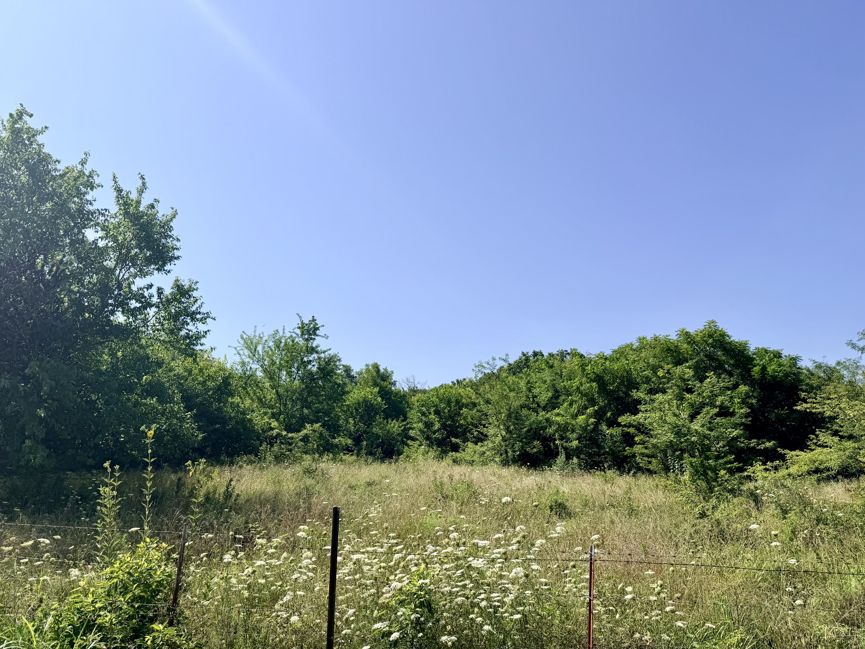 Photo 15 - Land for sale – 391 N Dade 85   Lockwood, MO