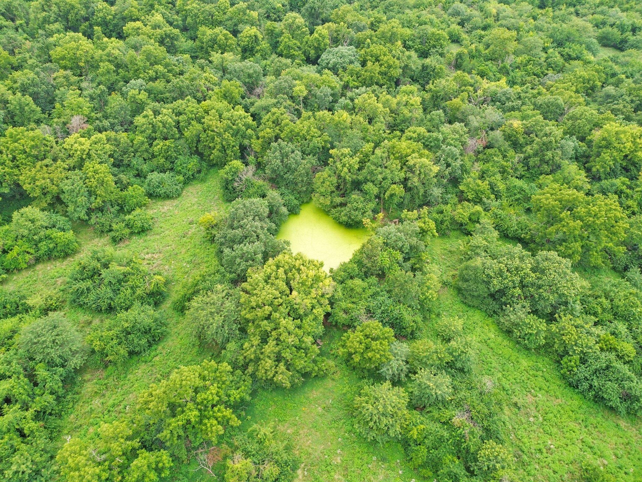 Photo 8 - Land for sale – 391 N Dade 85   Lockwood, MO