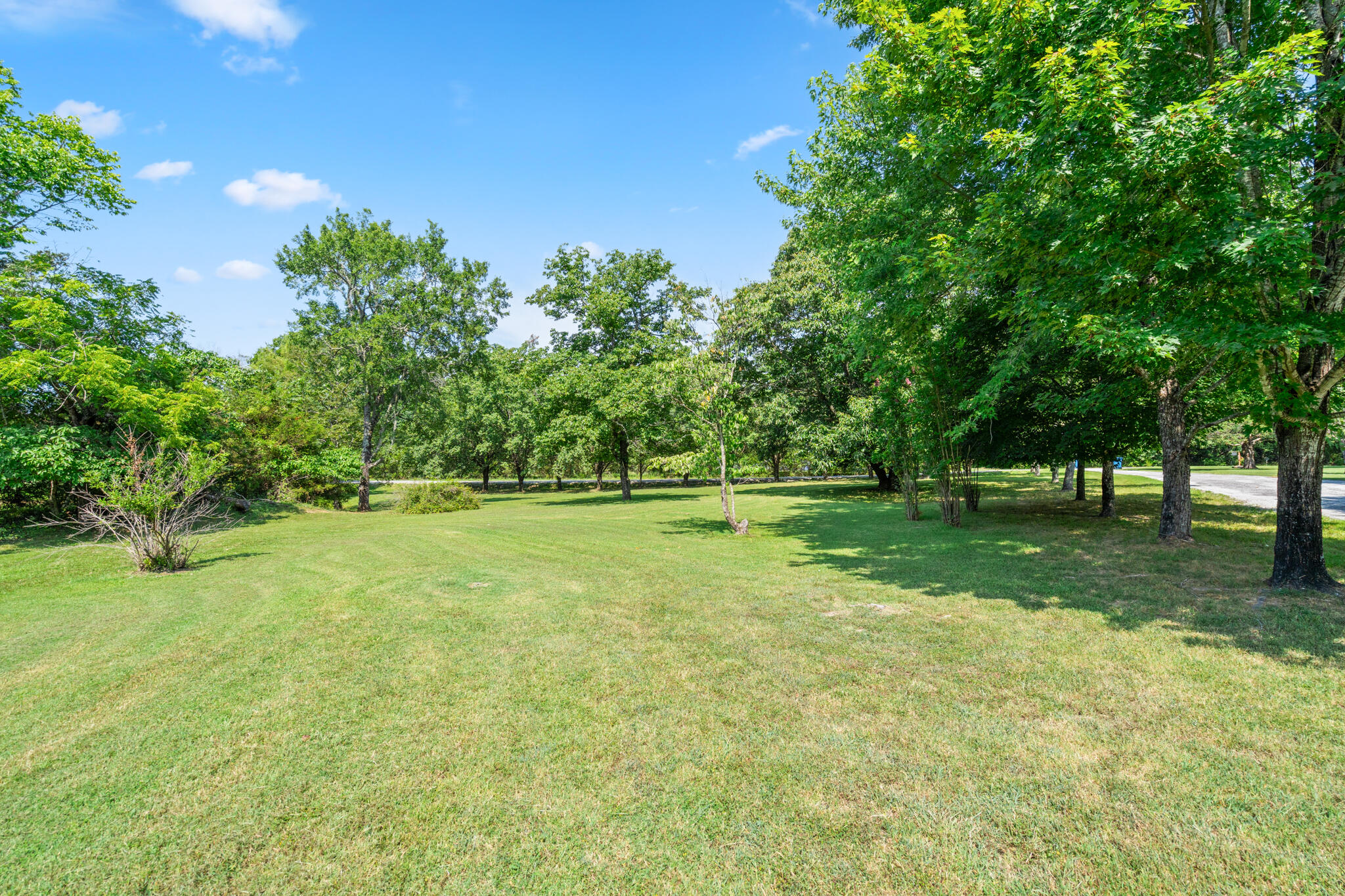 Photo 32 - Residential for sale – 111  Bobcat Court  Forsyth, MO