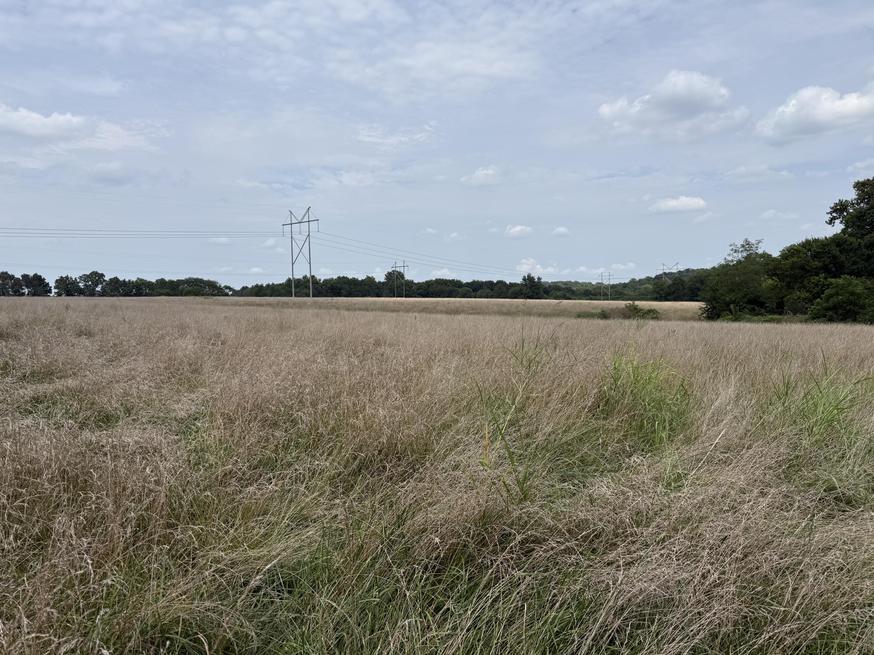 Photo 10 - Land for sale – Tract 1 W Farm Road 168   Republic, MO