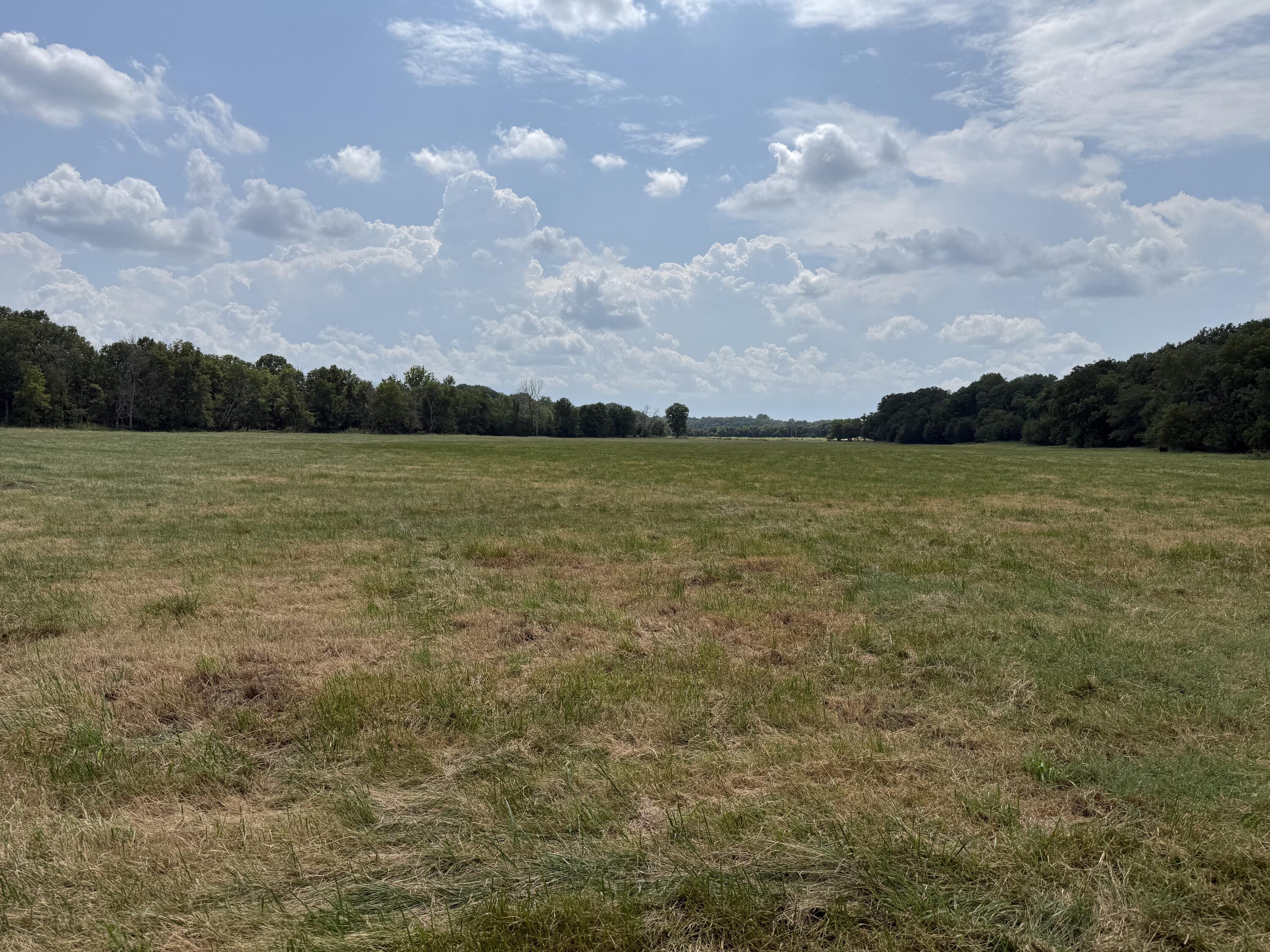 Photo 4 - Land for sale – Tract 1 W Farm Road 168   Republic, MO