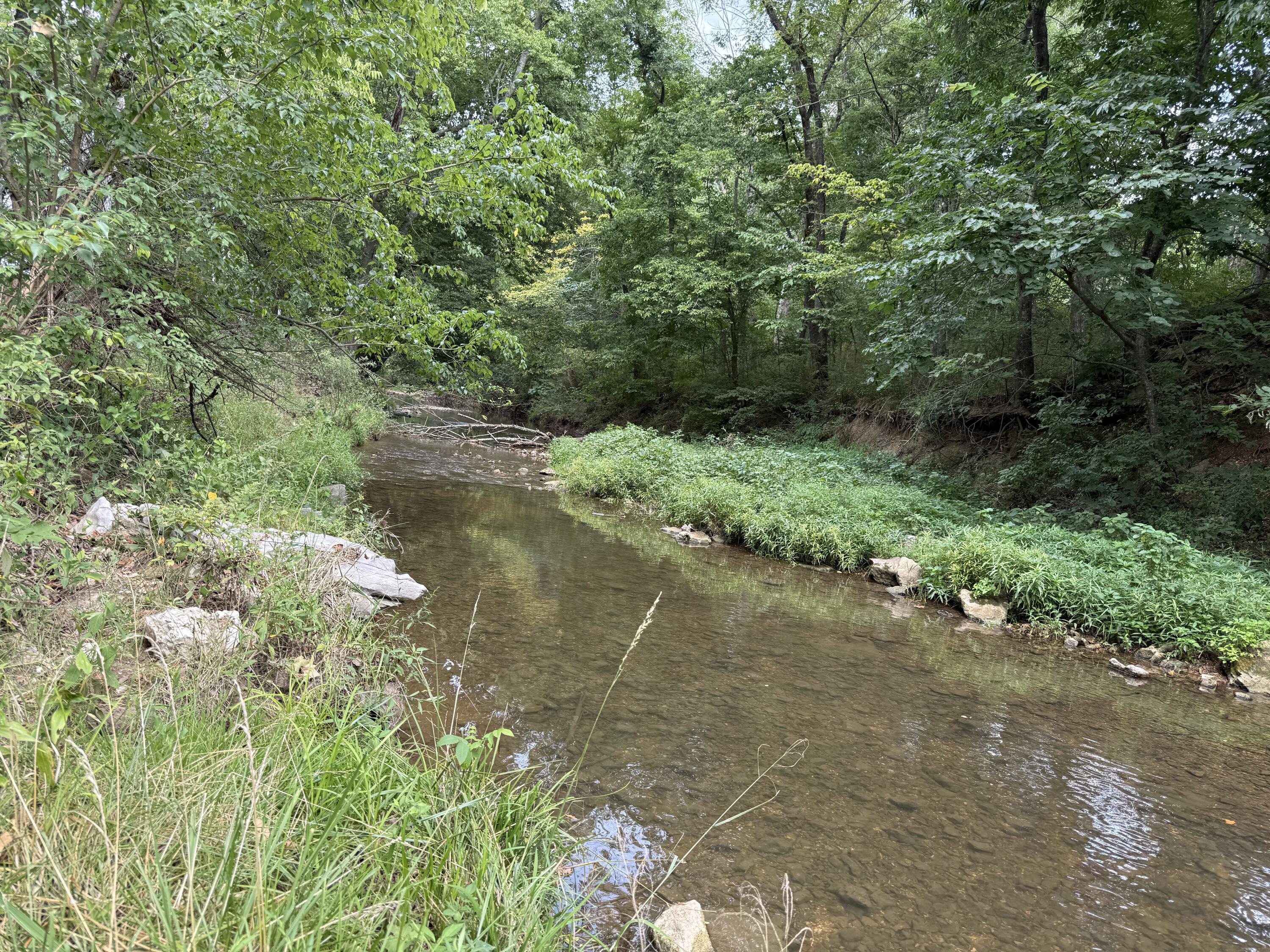 Photo 2 - Land for sale – Tract 1 W Farm Road 168   Republic, MO