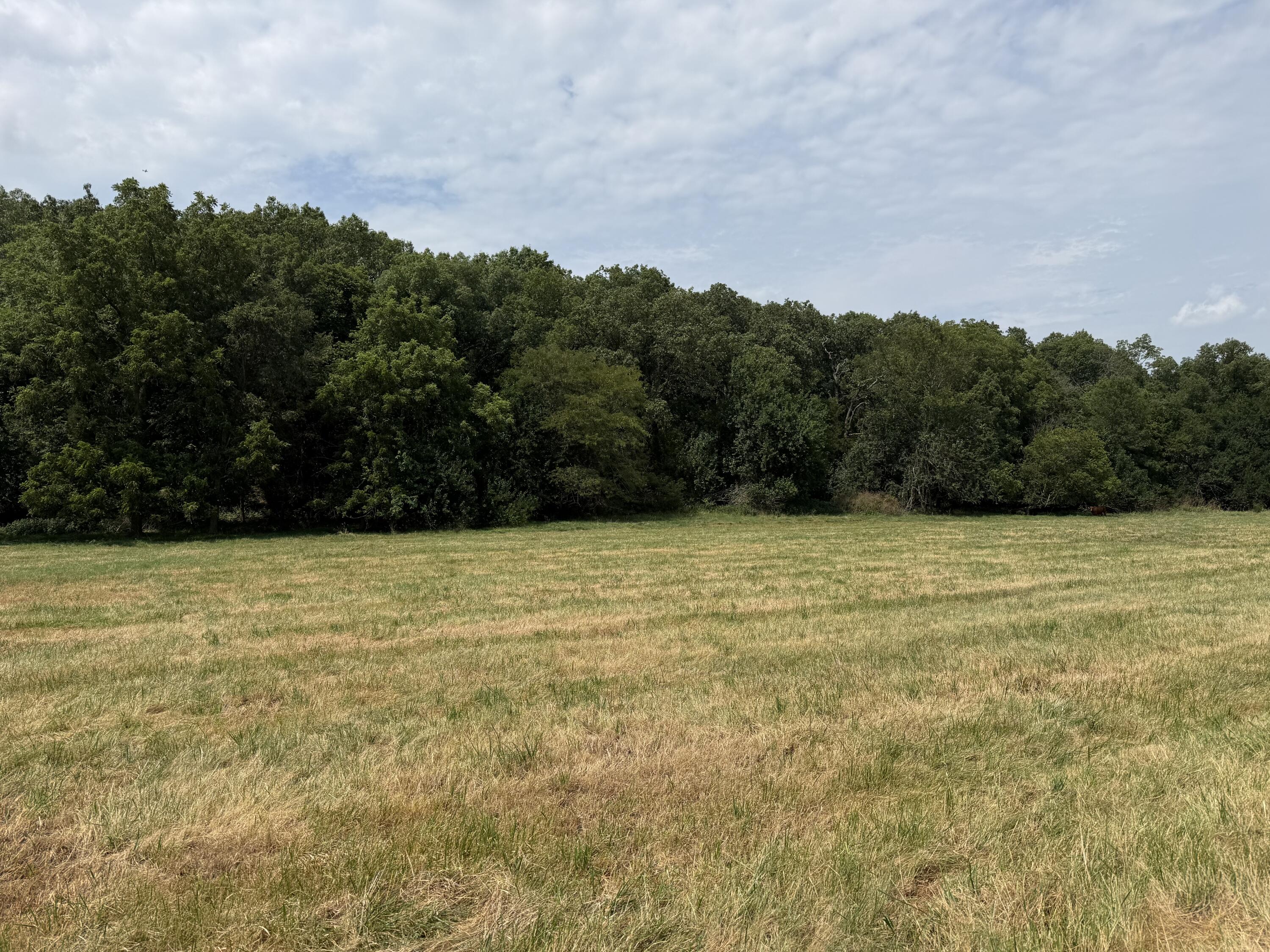 Photo 5 - Land for sale – Tract 1 W Farm Road 168   Republic, MO
