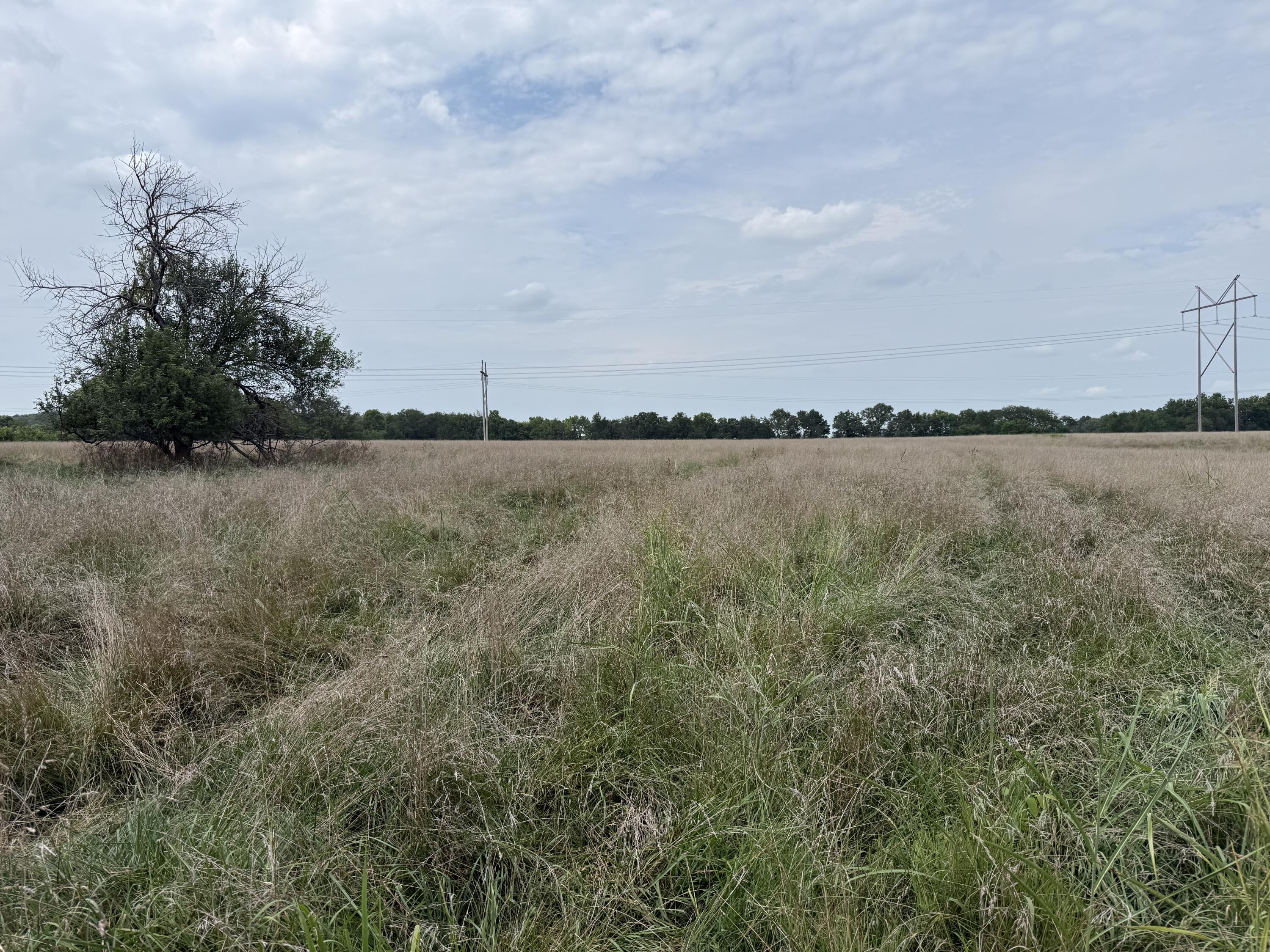 Photo 11 - Land for sale – Tract 1 W Farm Road 168   Republic, MO