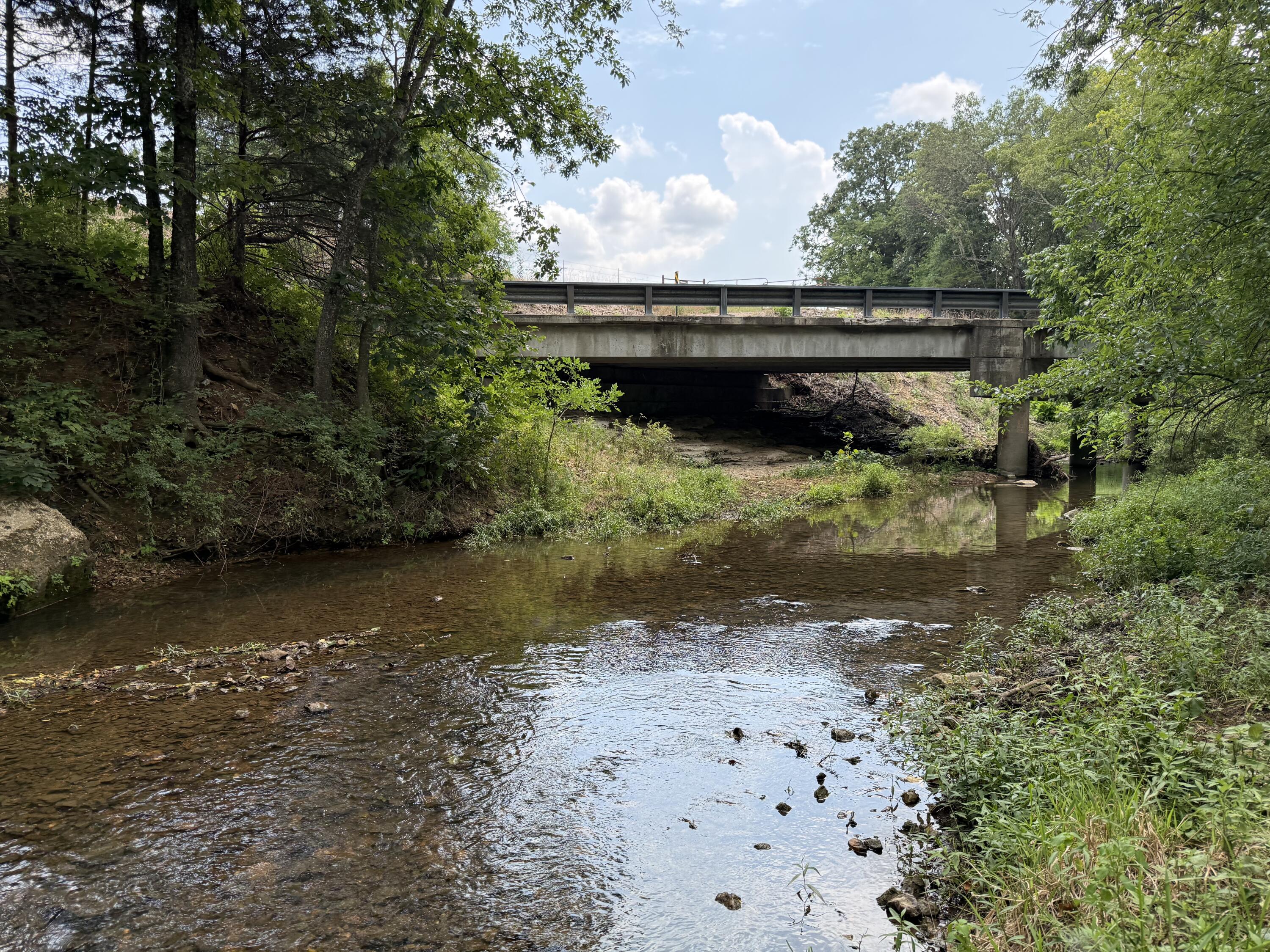 Photo 8 - Land for sale – Tract 1 W Farm Road 168   Republic, MO