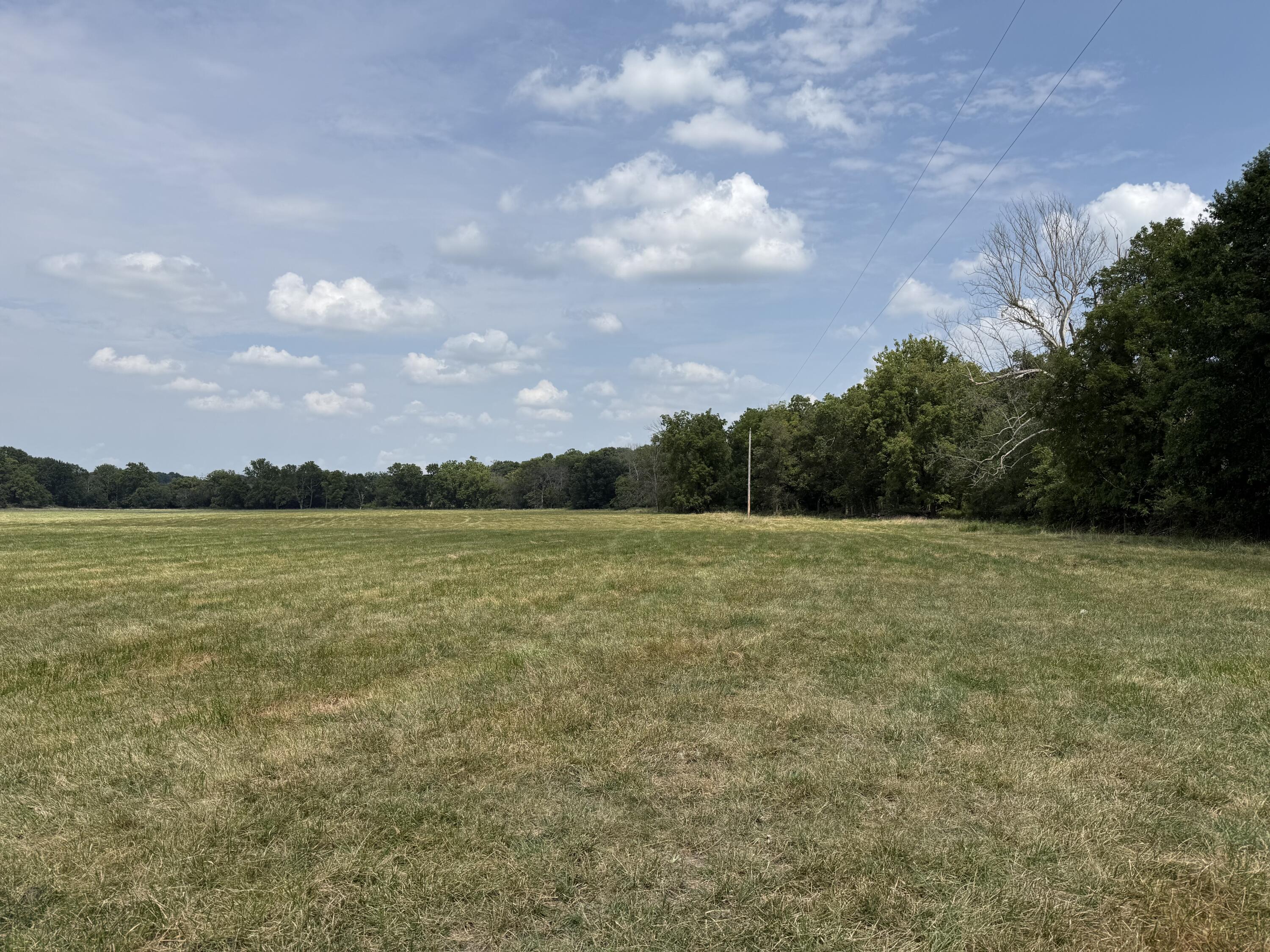 Photo 12 - Land for sale – Tract 1 W Farm Road 168   Republic, MO
