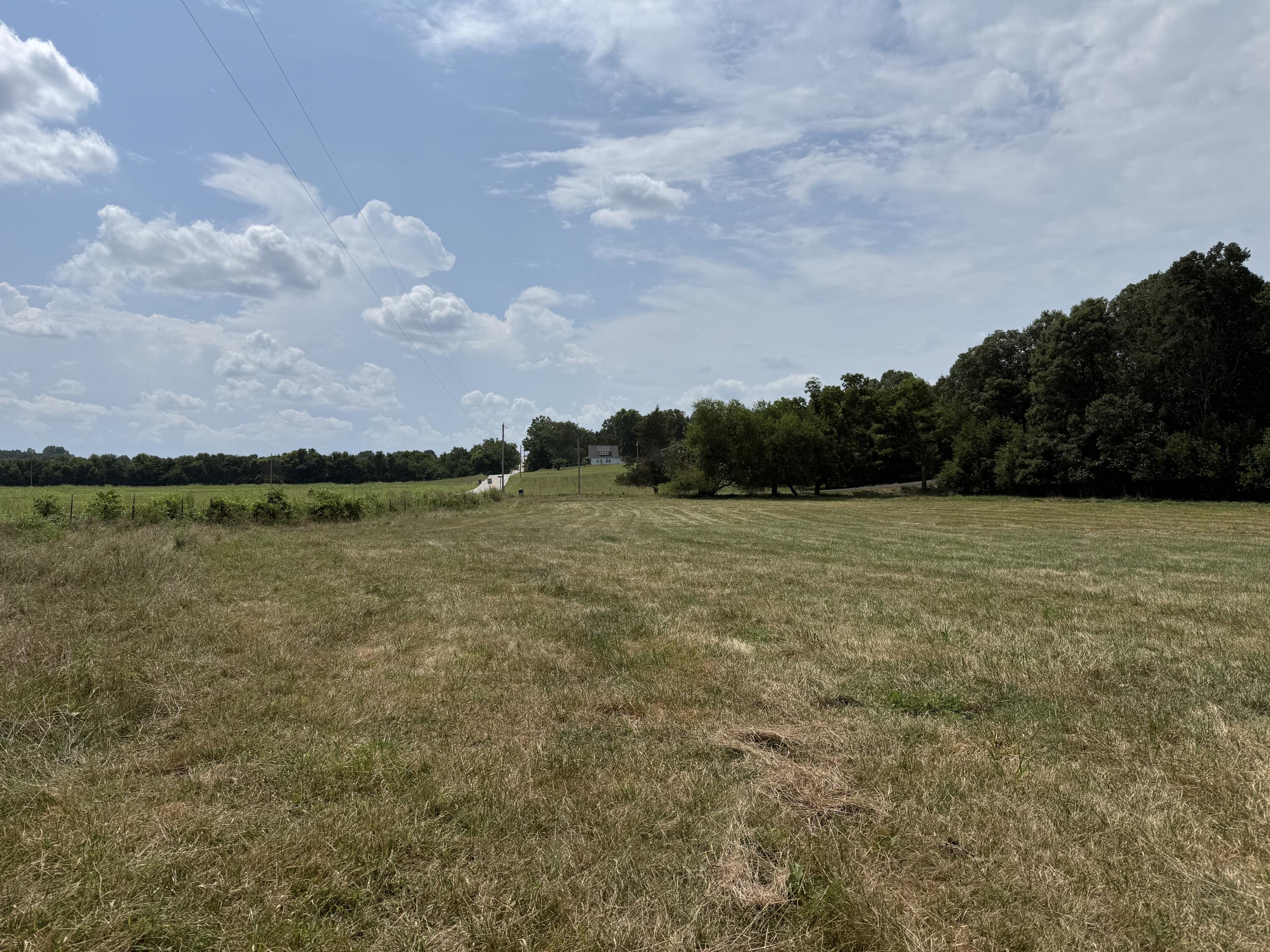 Photo 14 - Land for sale – Tract 1 W Farm Road 168   Republic, MO