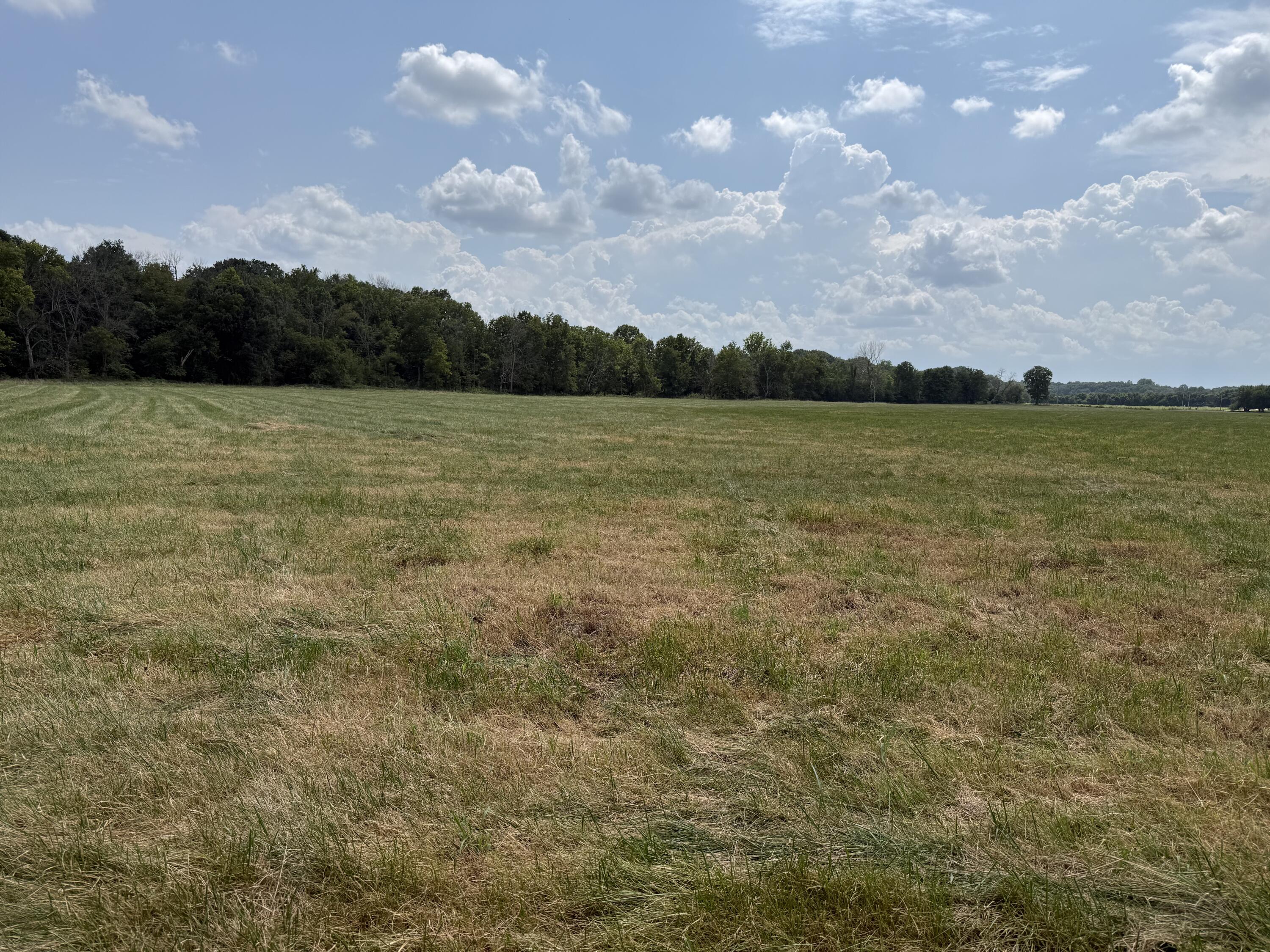 Photo 9 - Land for sale – Tract 1 W Farm Road 168   Republic, MO