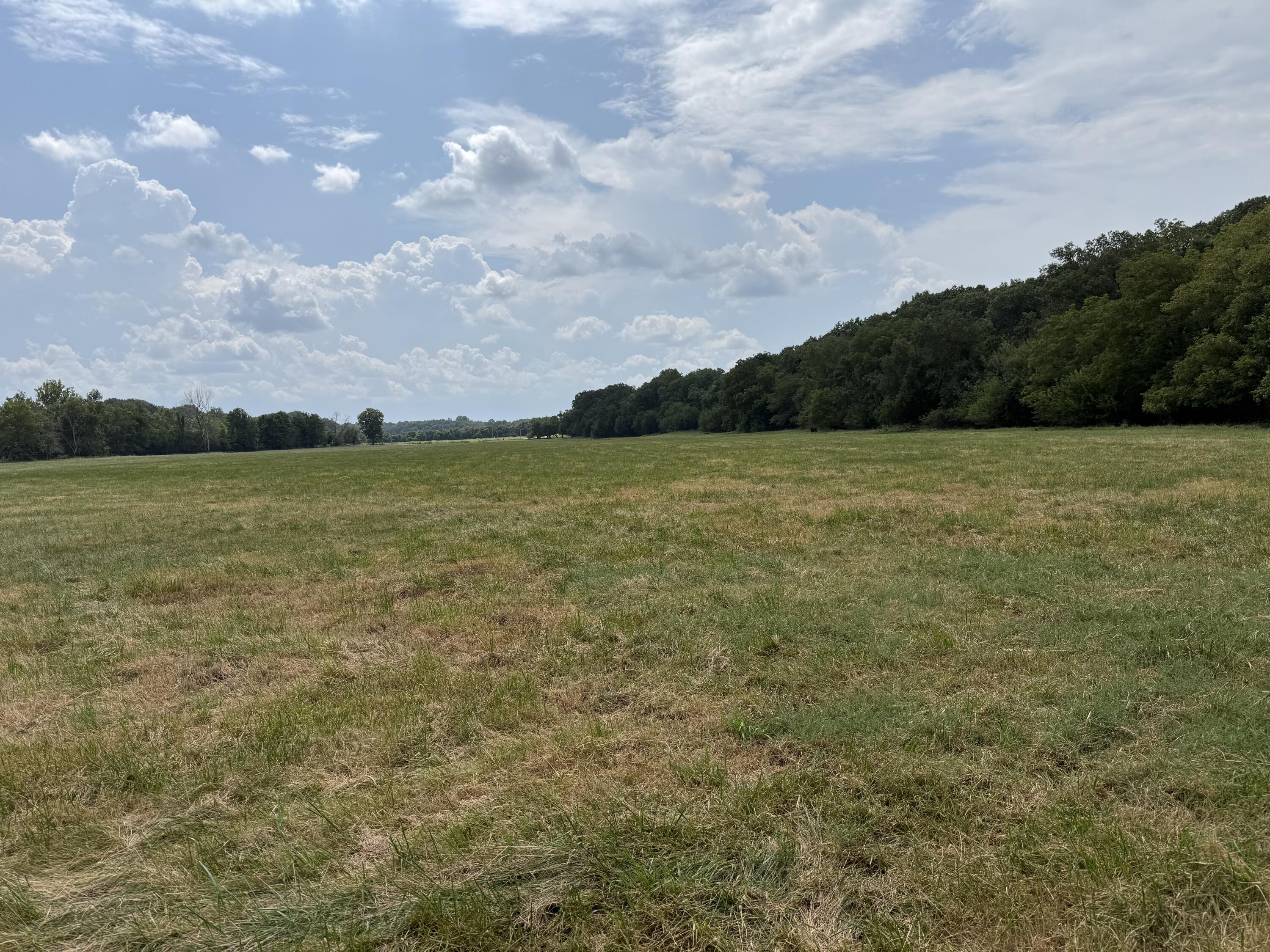 Land for sale – Tract 1 W Farm Road 168   Republic, MO