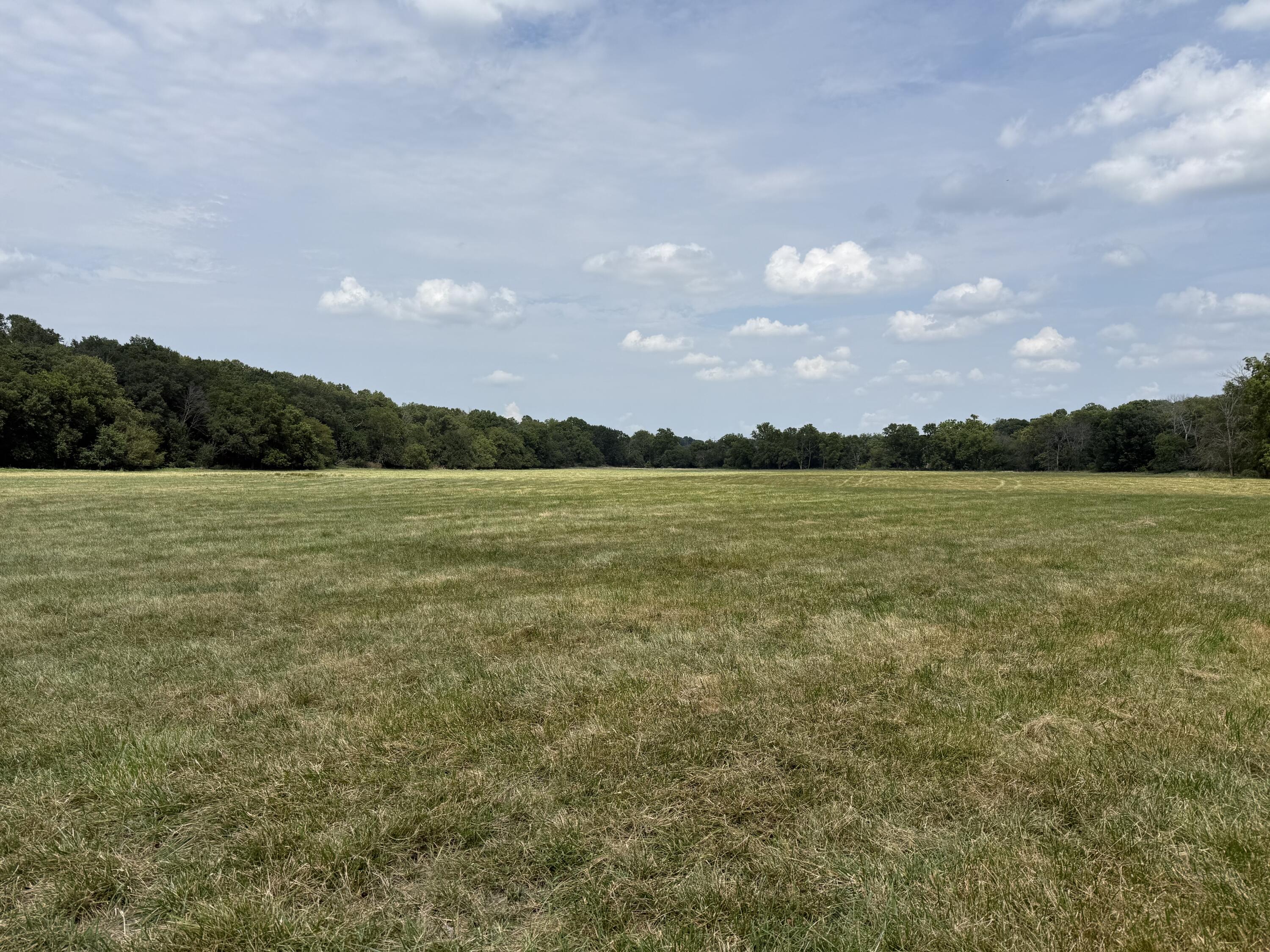 Photo 3 - Land for sale – Tract 1 W Farm Road 168   Republic, MO