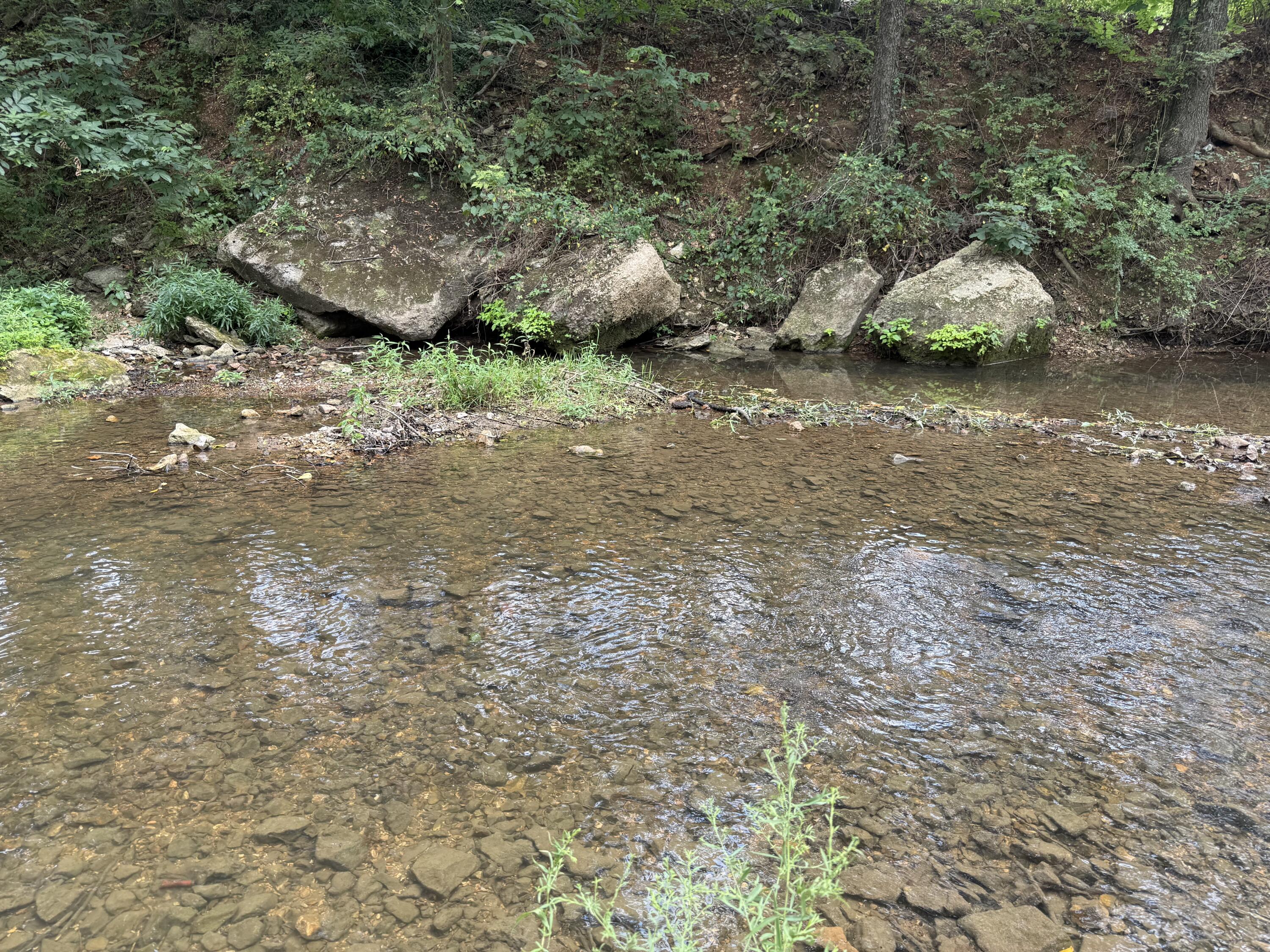 Photo 7 - Land for sale – Tract 1 W Farm Road 168   Republic, MO