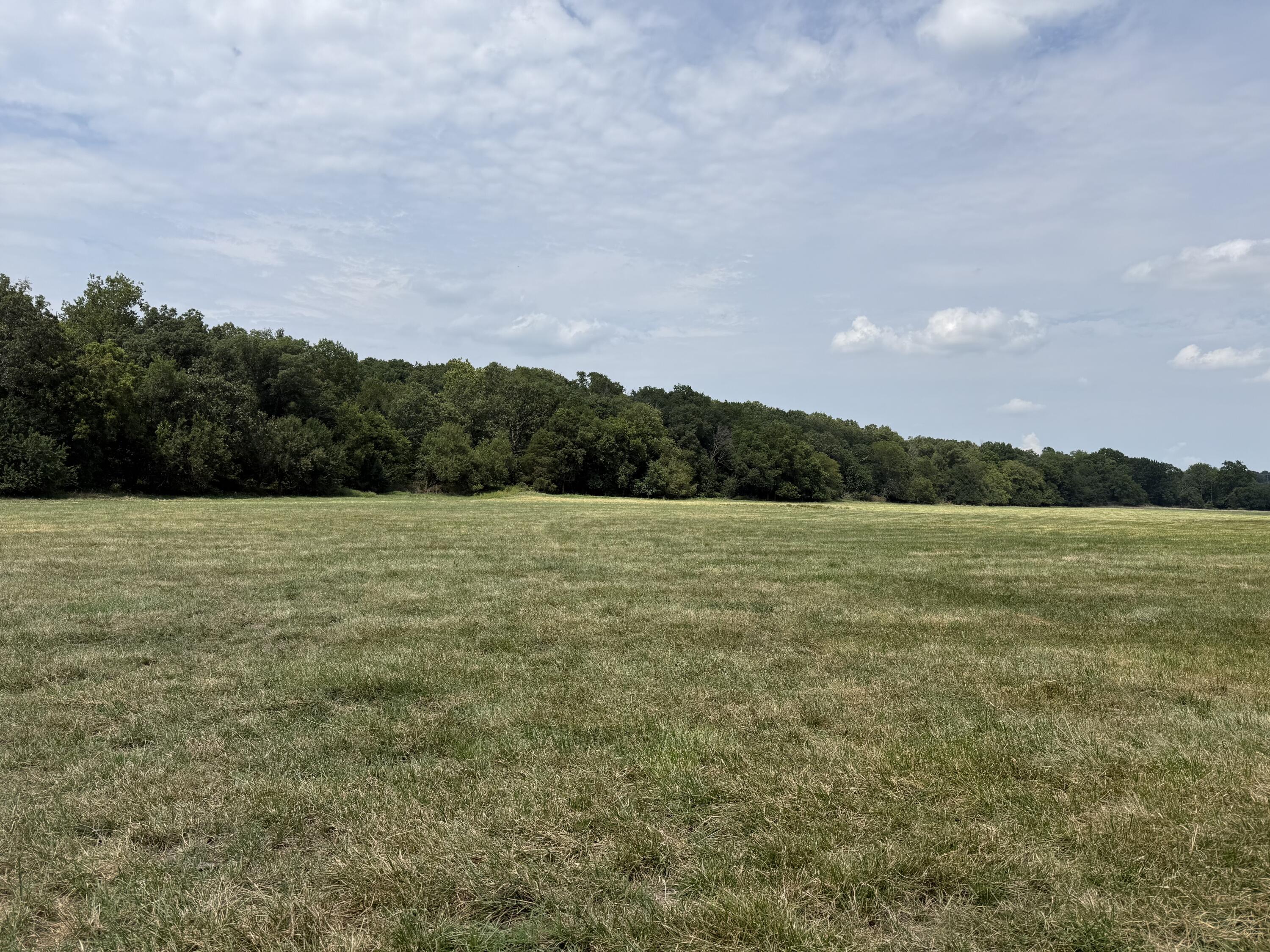 Photo 13 - Land for sale – Tract 1 W Farm Road 168   Republic, MO